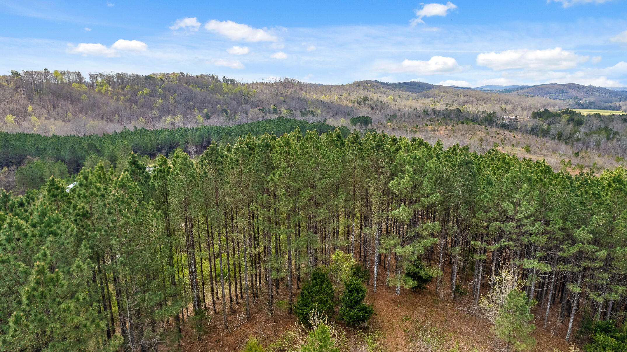 20.41 Plank Road Decatur, TN 37322 - Photo 14 of 36 Aerial View