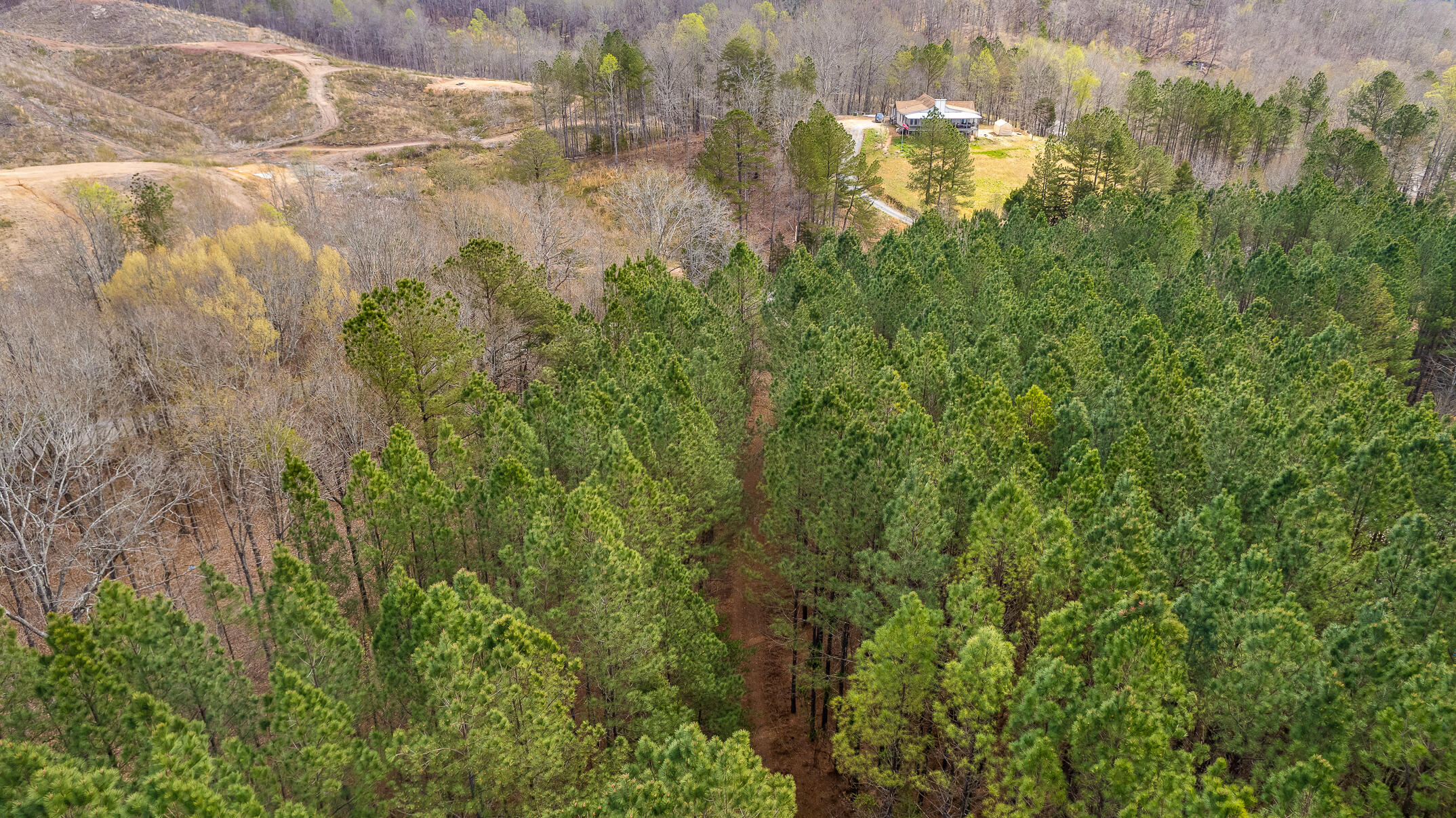 20.41 Plank Road Decatur, TN 37322 - Photo 19 of 36 Aerial View