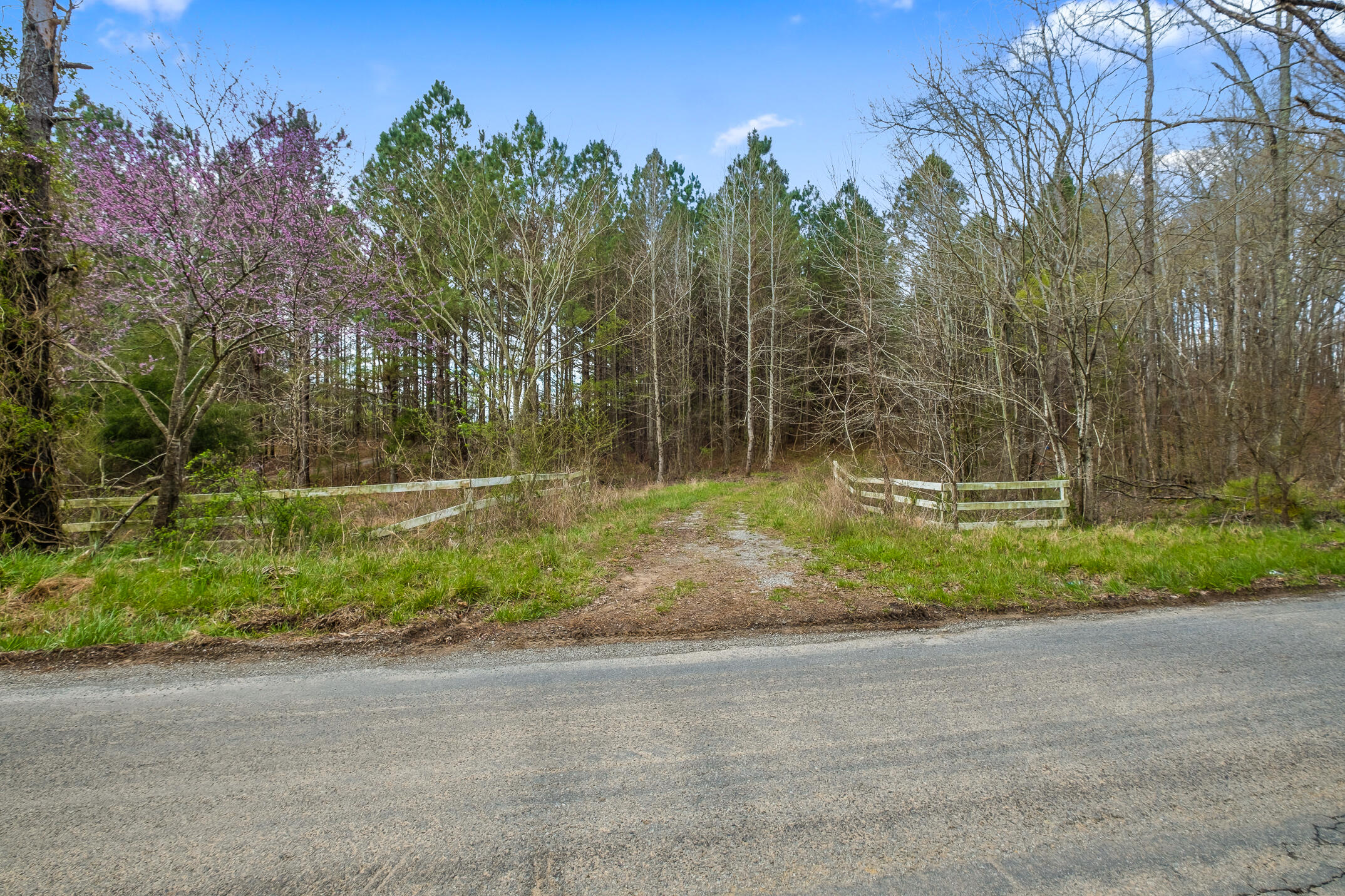 20.41 Plank Road Decatur, TN 37322 - Photo 20 of 36 Plank Rd