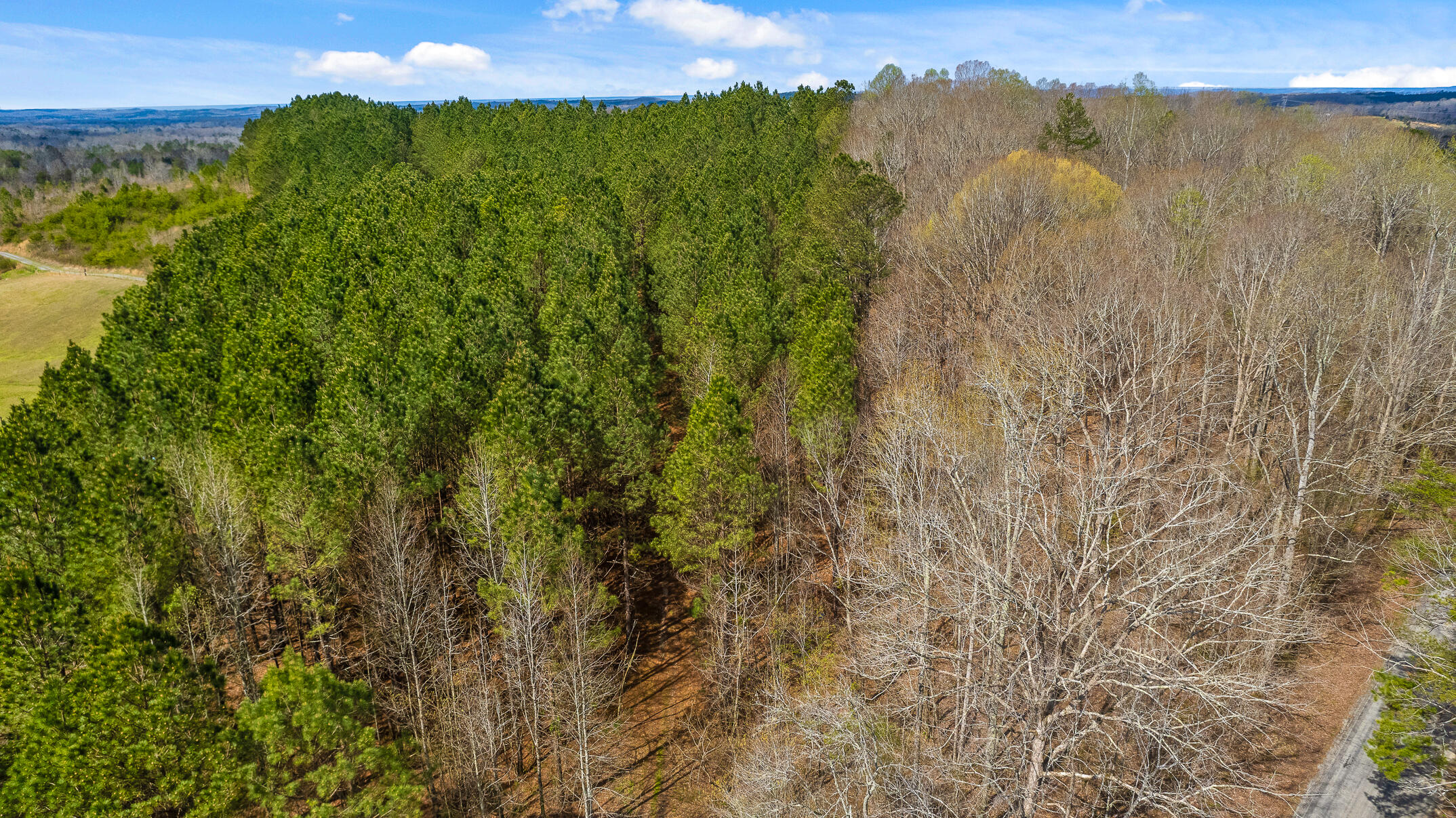 20.41 Plank Road Decatur, TN 37322 - Photo 21 of 36 Aerial View