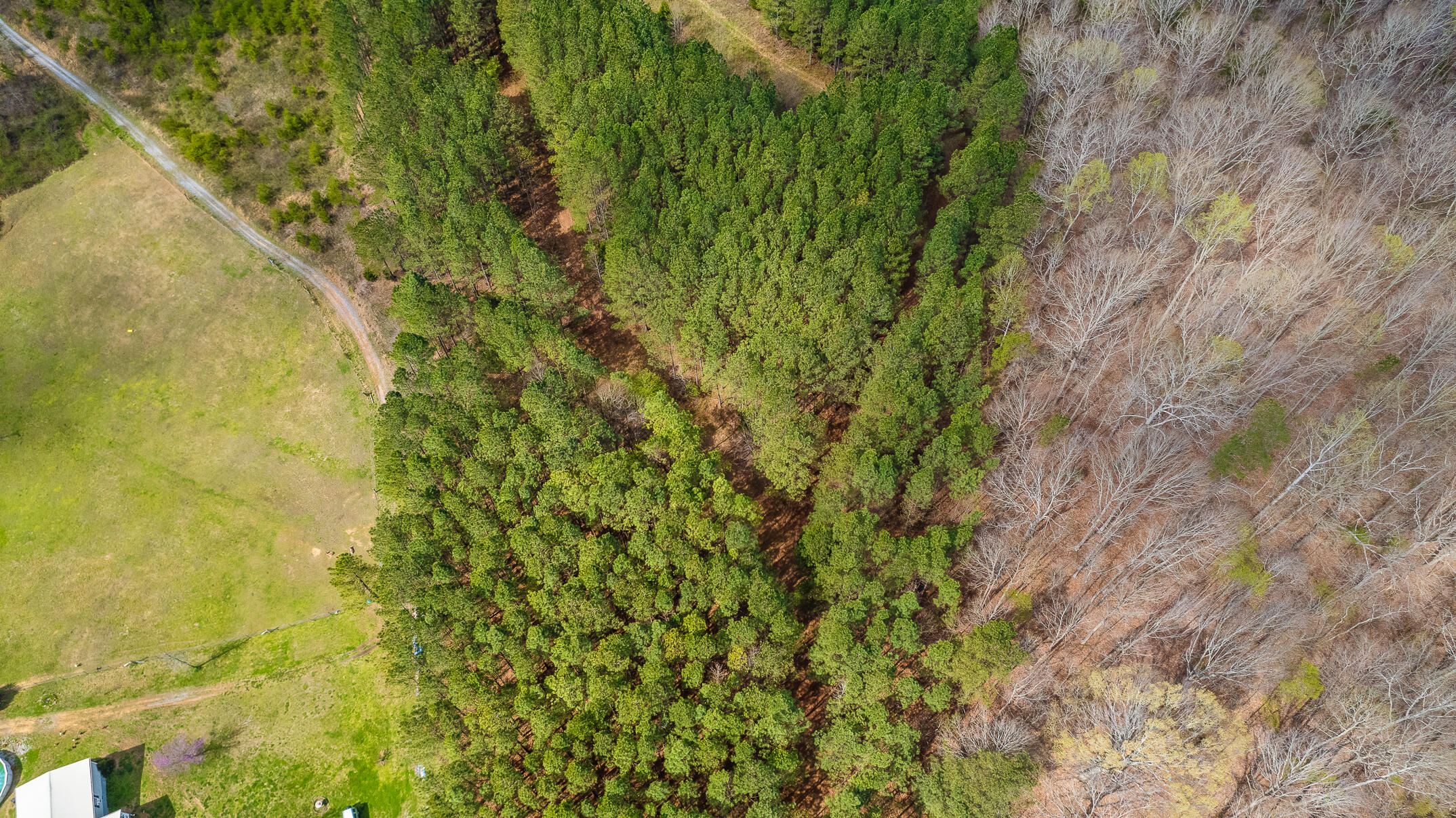 20.41 Plank Road Decatur, TN 37322 - Photo 23 of 36 Aerial View