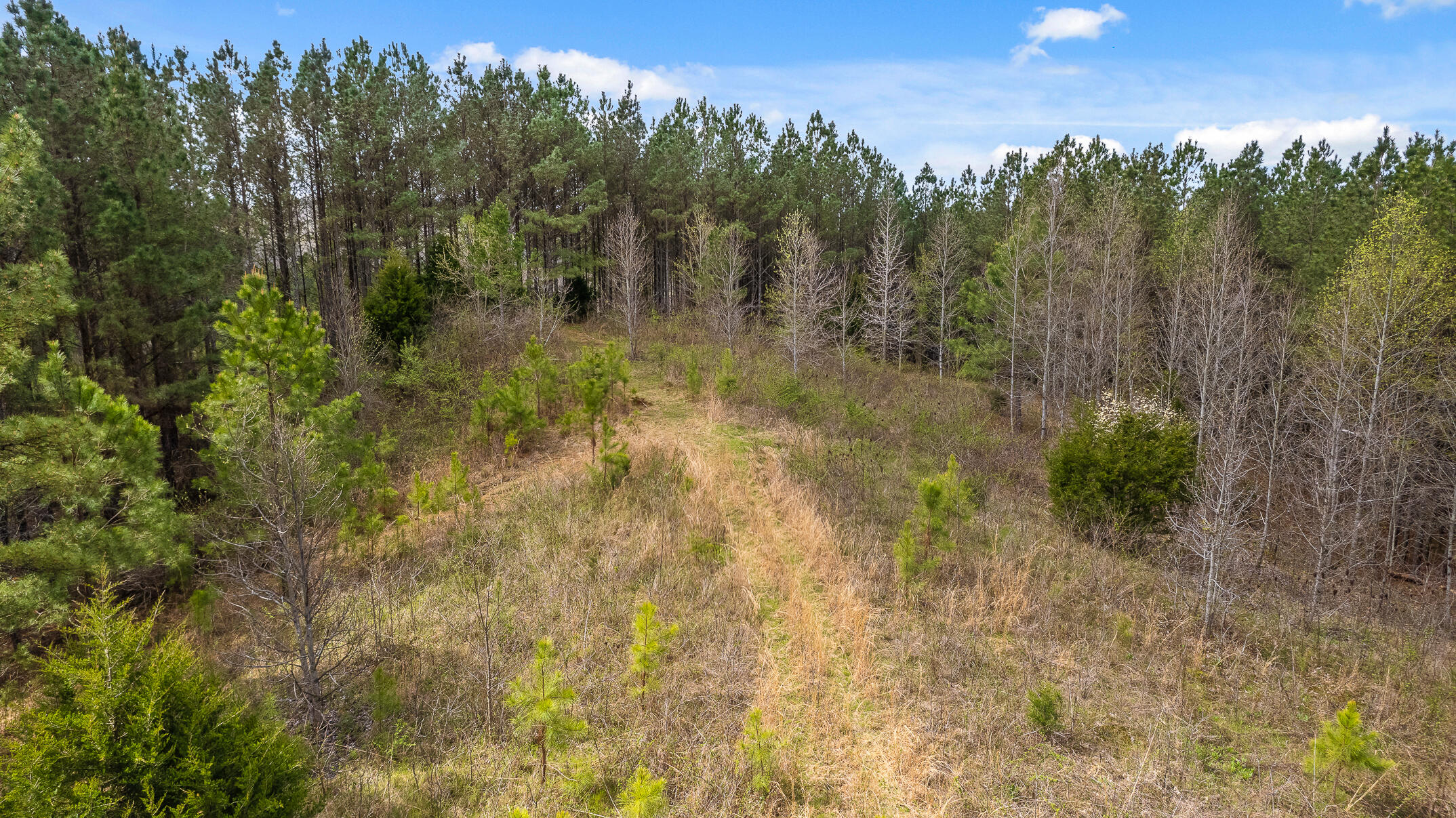20.41 Plank Road Decatur, TN 37322 - Photo 25 of 36 Acreage