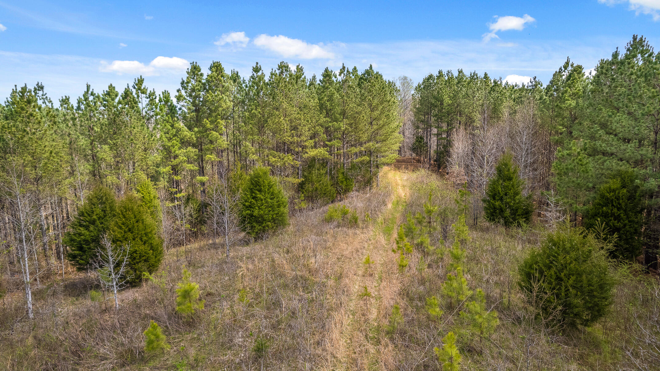 20.41 Plank Road Decatur, TN 37322 - Photo 26 of 36 Acreage