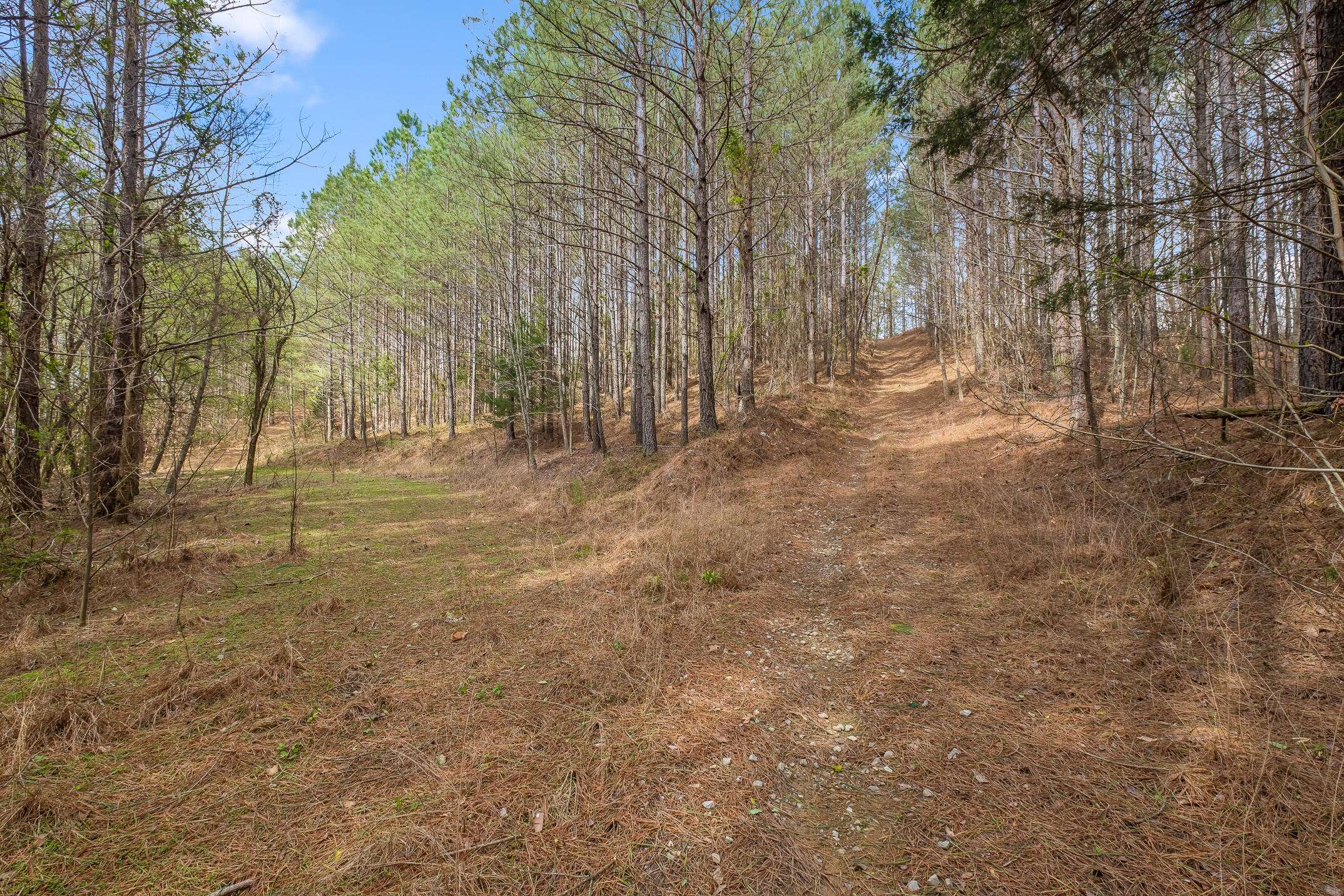 20.41 Plank Road Decatur, TN 37322 - Photo 32 of 36 Acreage