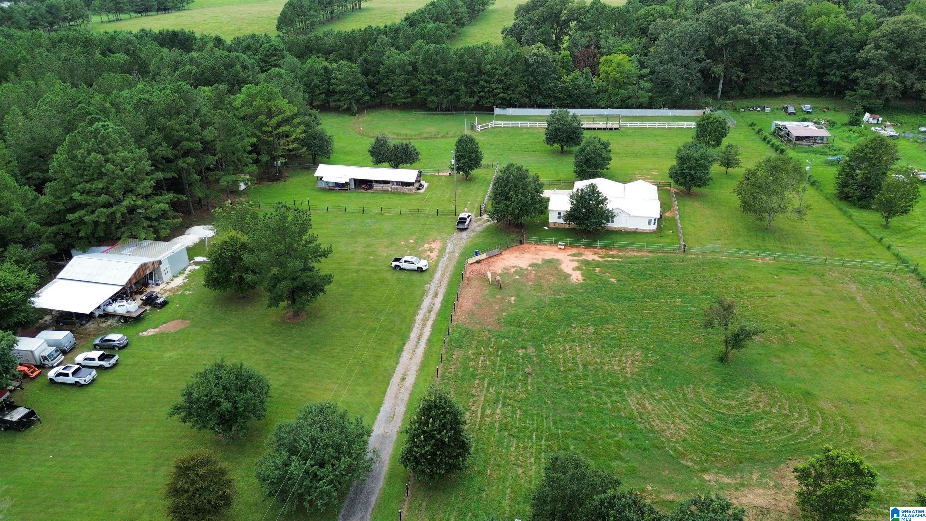 319 Kymulga Road Childersburg, AL 35044 - Photo 4 of 58