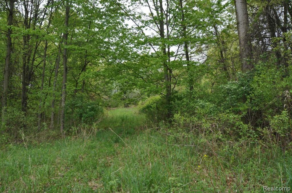 L2 Euler Road Brighton, MI 48114 - Photo 1 of 8