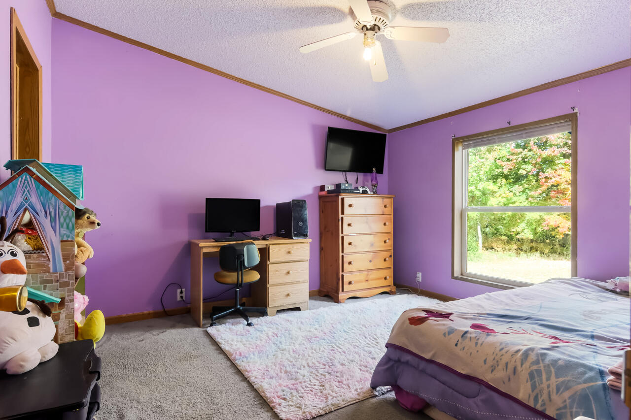 6172 Wallaker Road Benzonia, MI 49616 - Photo 27 of 54 23-Scene-23