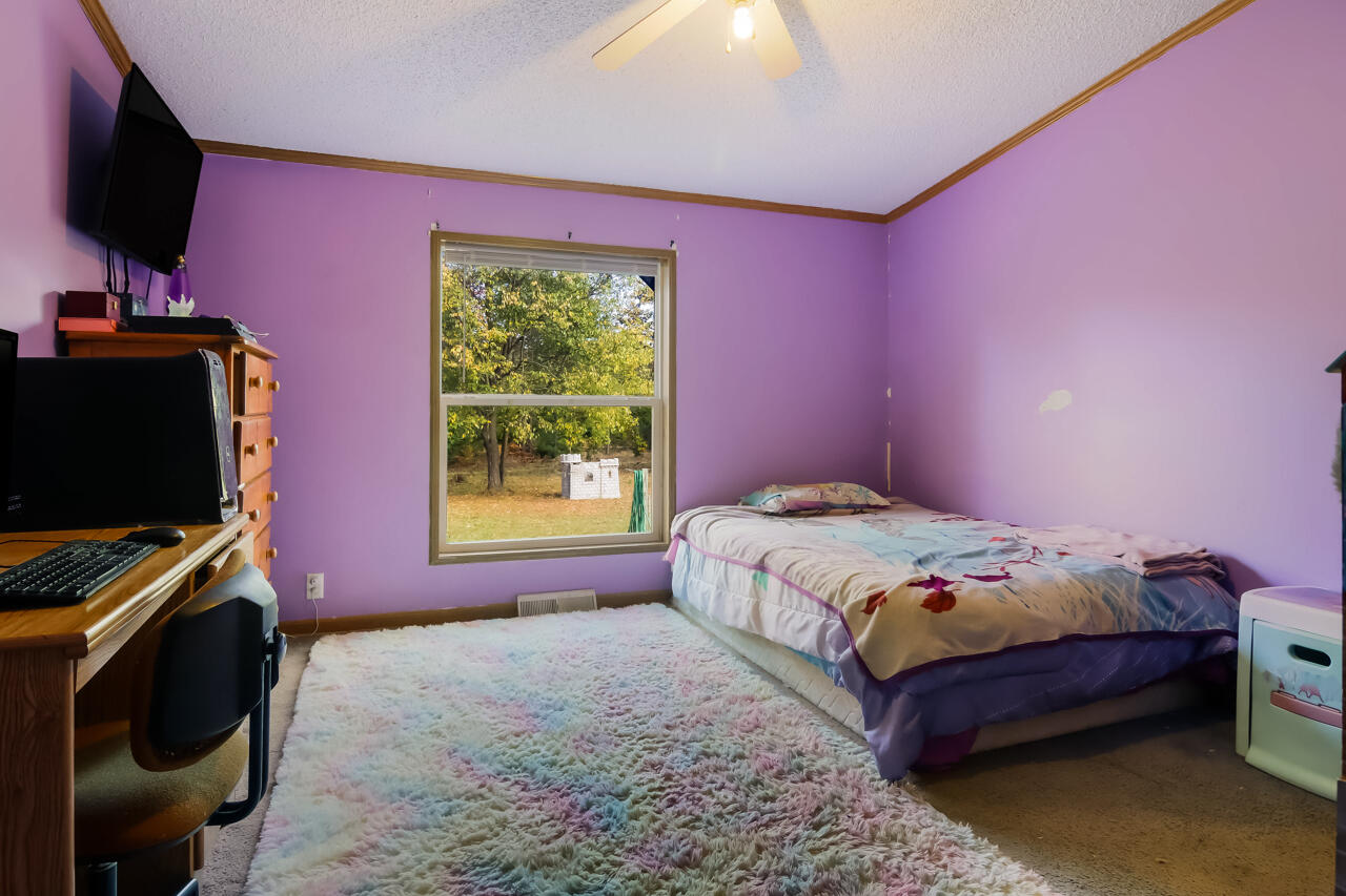 6172 Wallaker Road Benzonia, MI 49616 - Photo 28 of 54 25-Scene-25