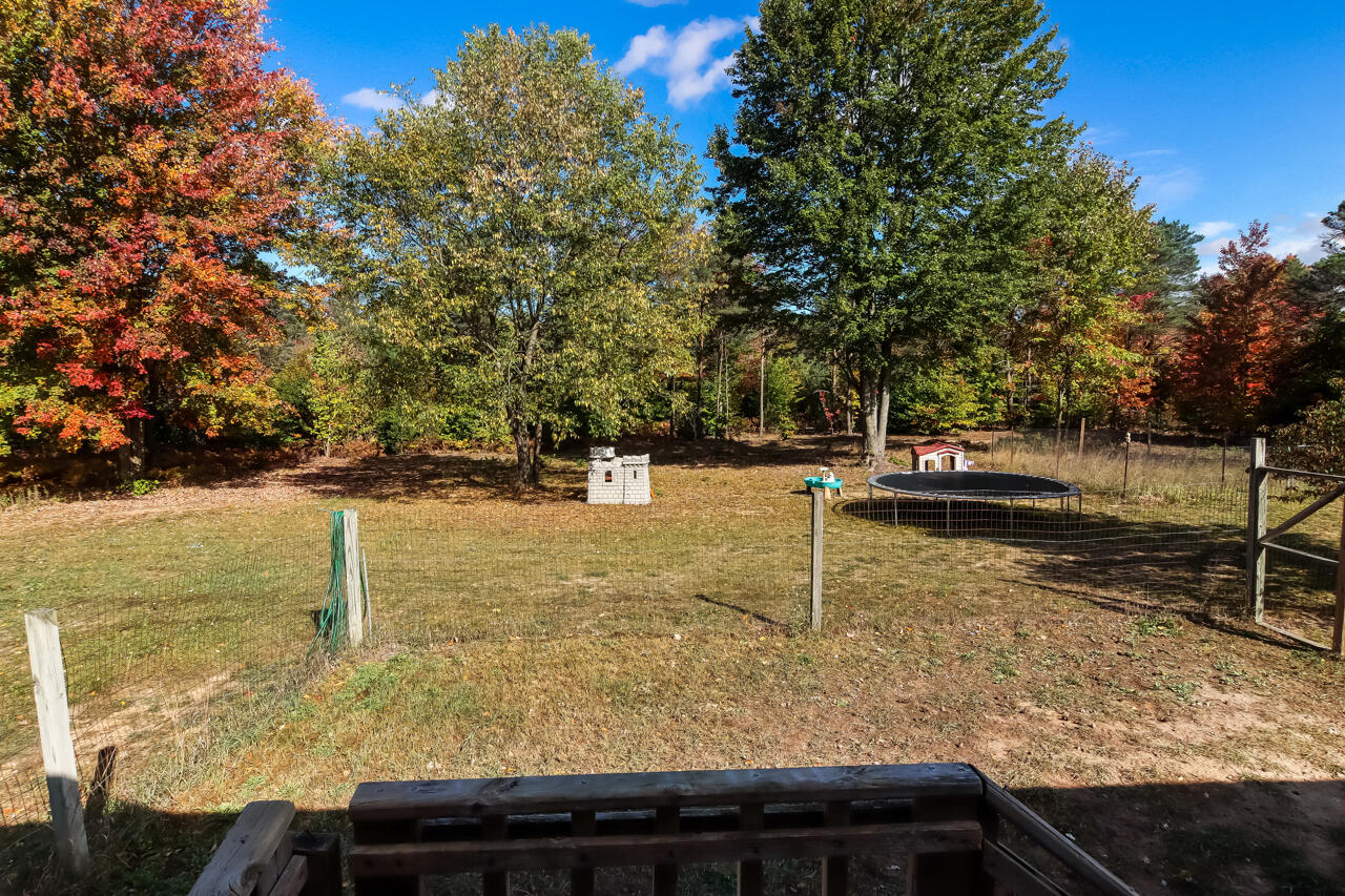 6172 Wallaker Road Benzonia, MI 49616 - Photo 49 of 54 29-Scene-29