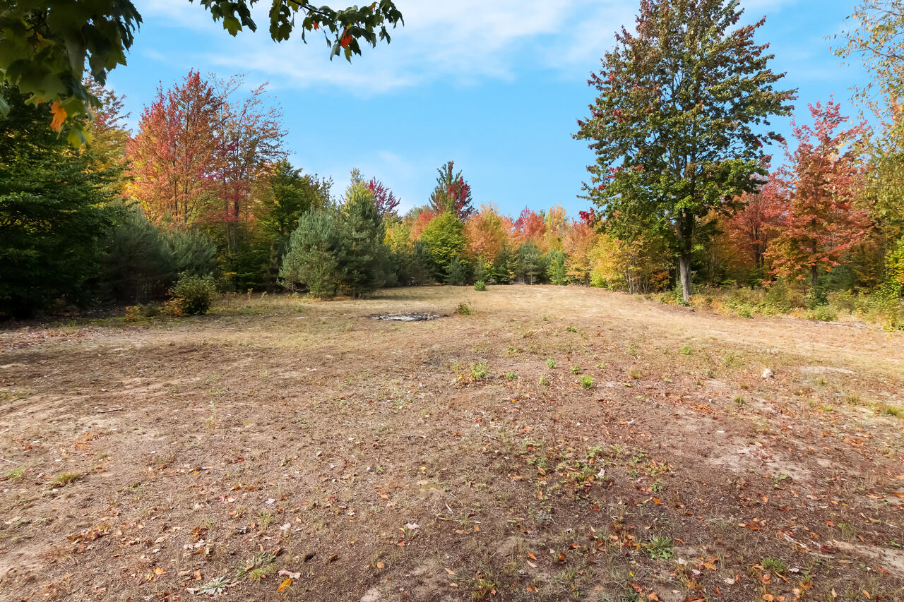 6172 Wallaker Road Benzonia, MI 49616 - Photo 51 of 54 45-Scene-45