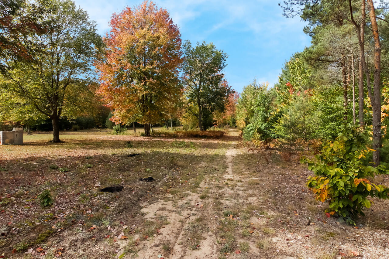 6172 Wallaker Road Benzonia, MI 49616 - Photo 53 of 54 50-Scene-50