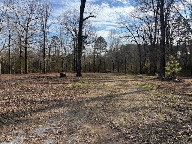37 Davis Loop Kingston, GA 30145 - Photo 7 of 11