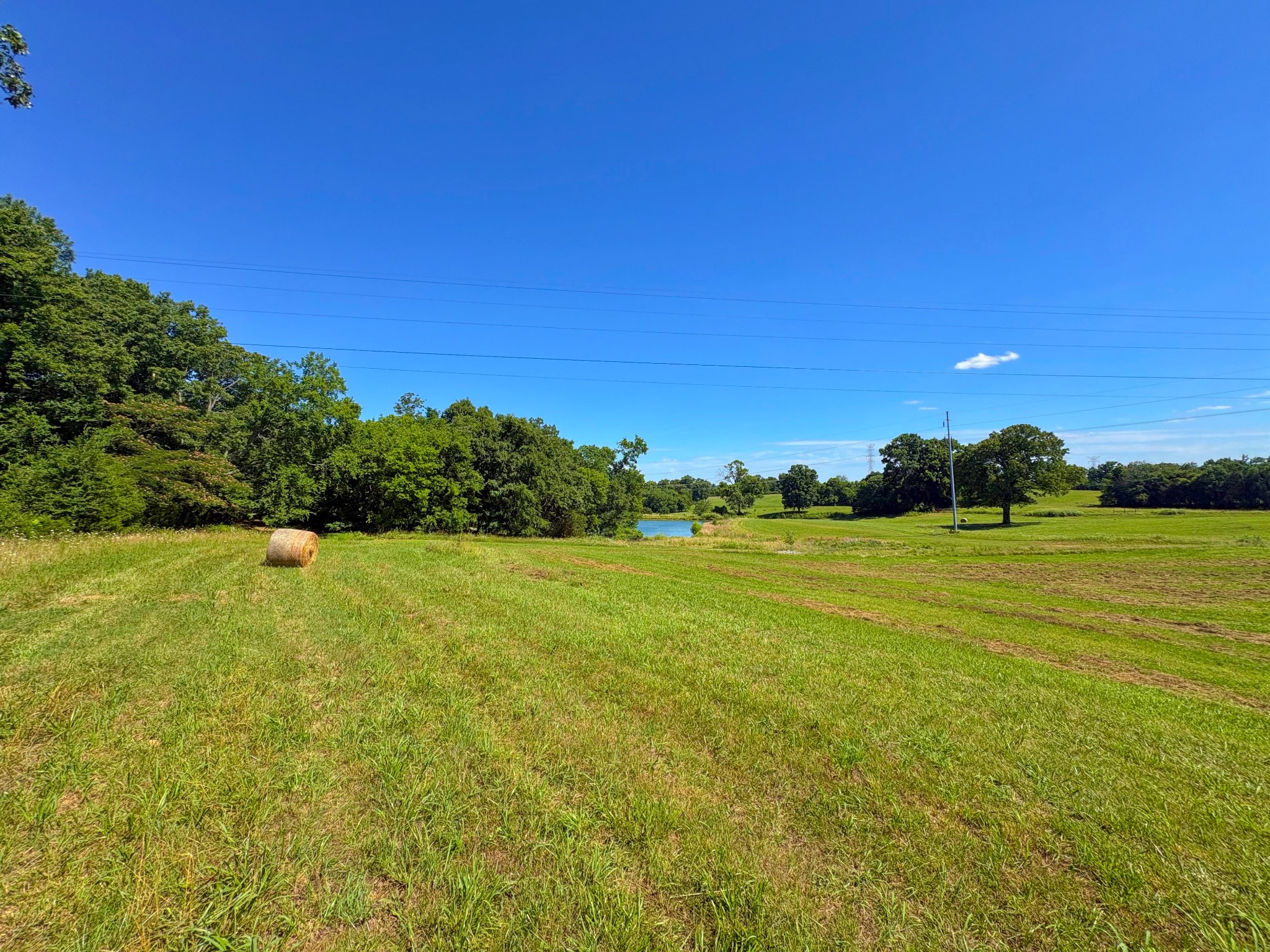 485 C Canoe Branch Road Castalian Springs, TN 37031 - Photo 8 of 13