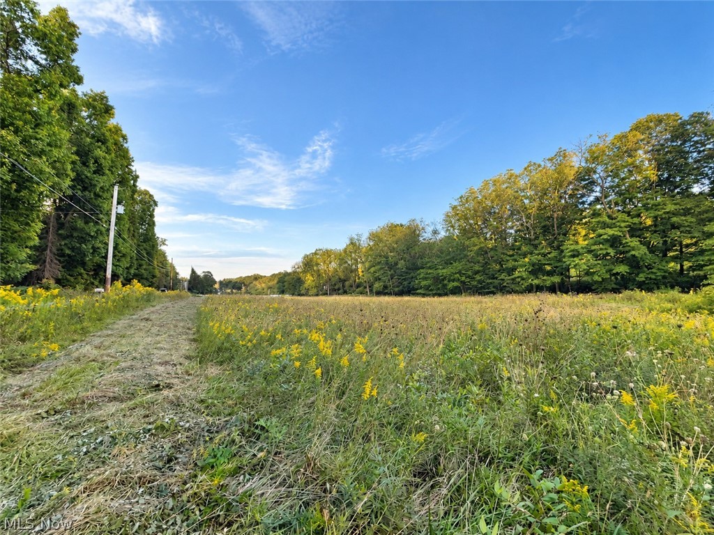 0 Colgin Road Howard, OH 43028 - Photo 4 of 5 Gallery Image 4