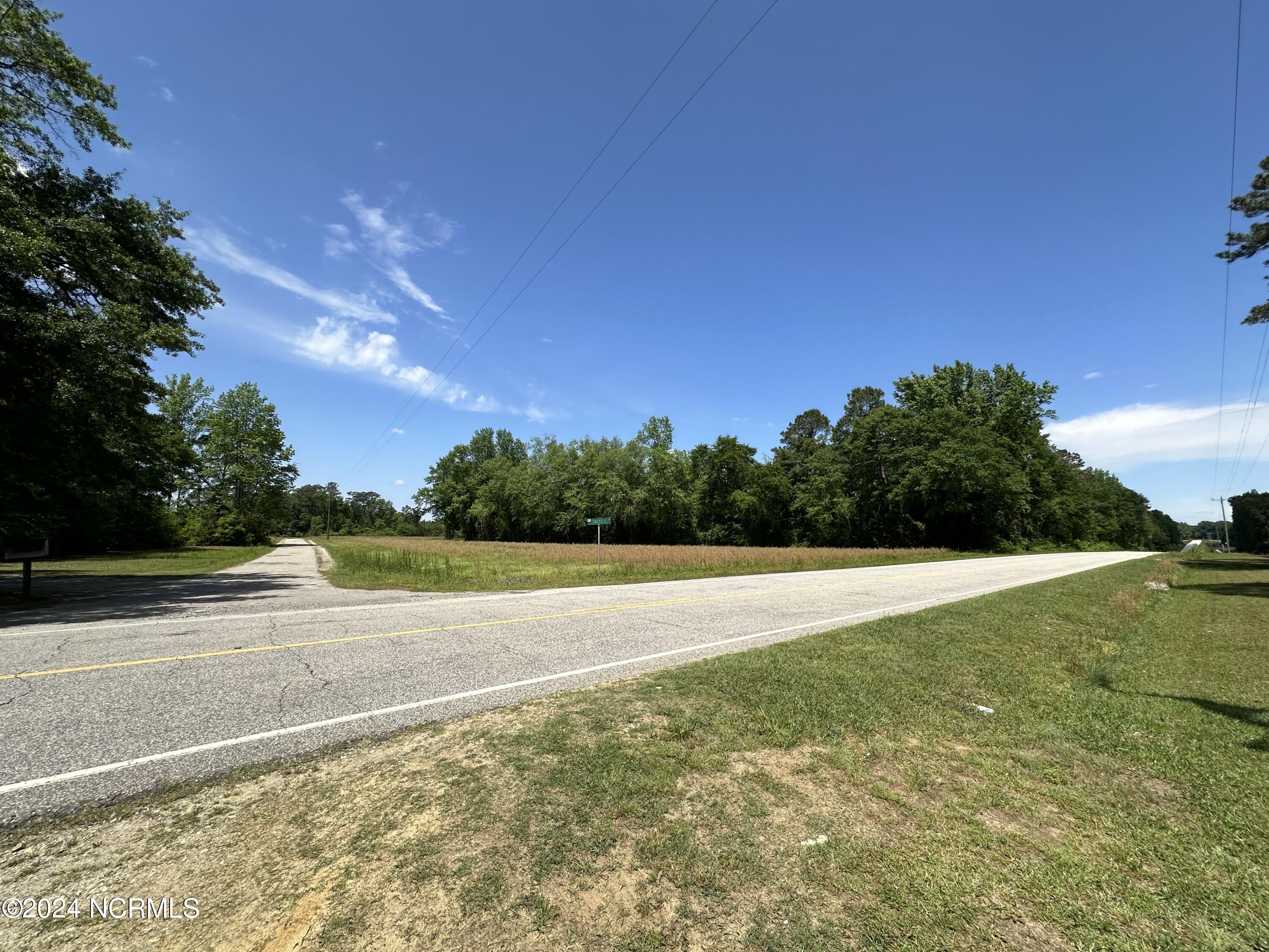 0 Needmore Road Turkey, NC 28393 - Photo 2 of 9 Cleared land and woodland on right side of Colwell Ln.
