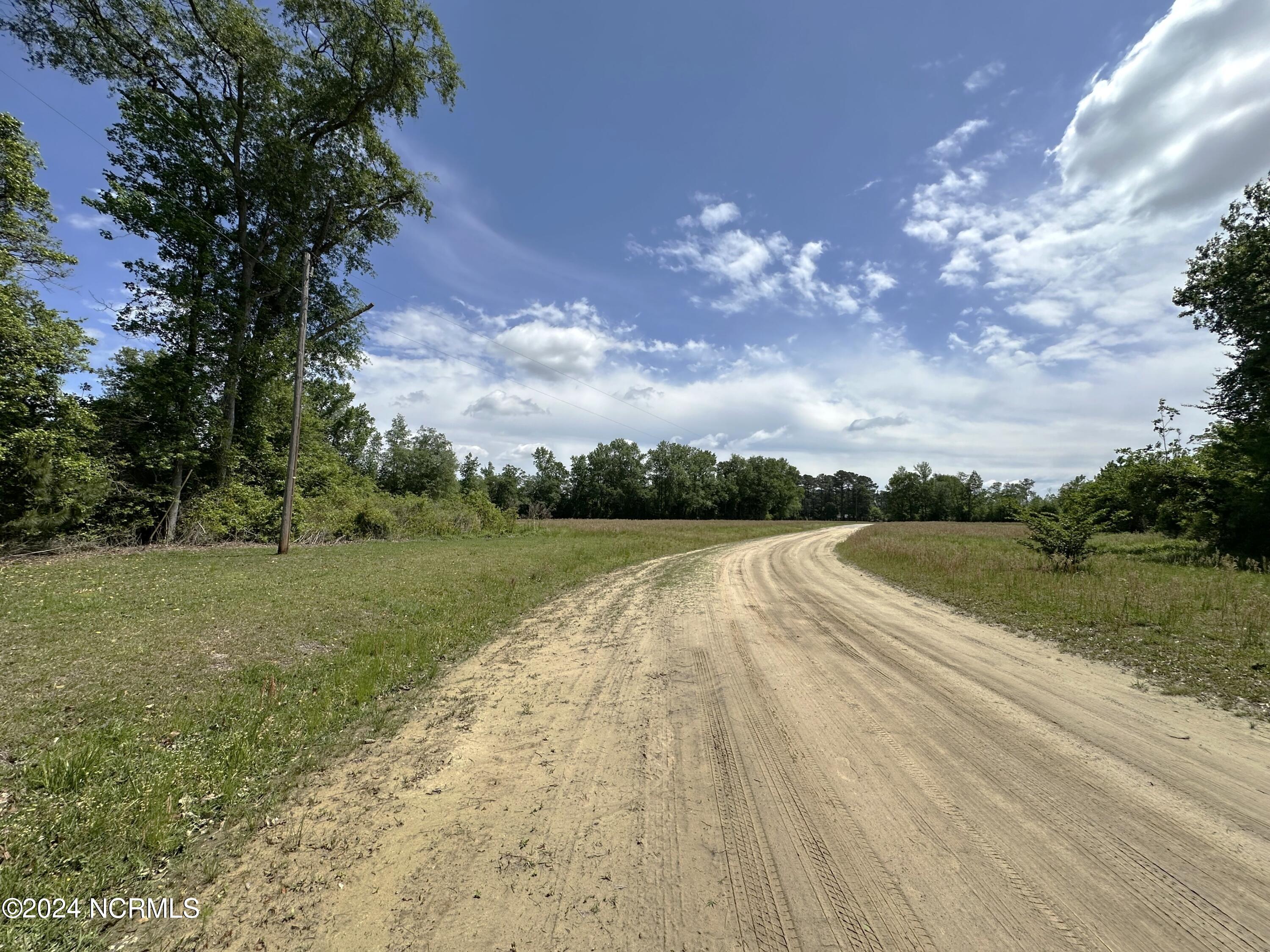 0 Needmore Road Turkey, NC 28393 - Photo 4 of 9 Frontage along Colwell Lane on the left. past the tree.