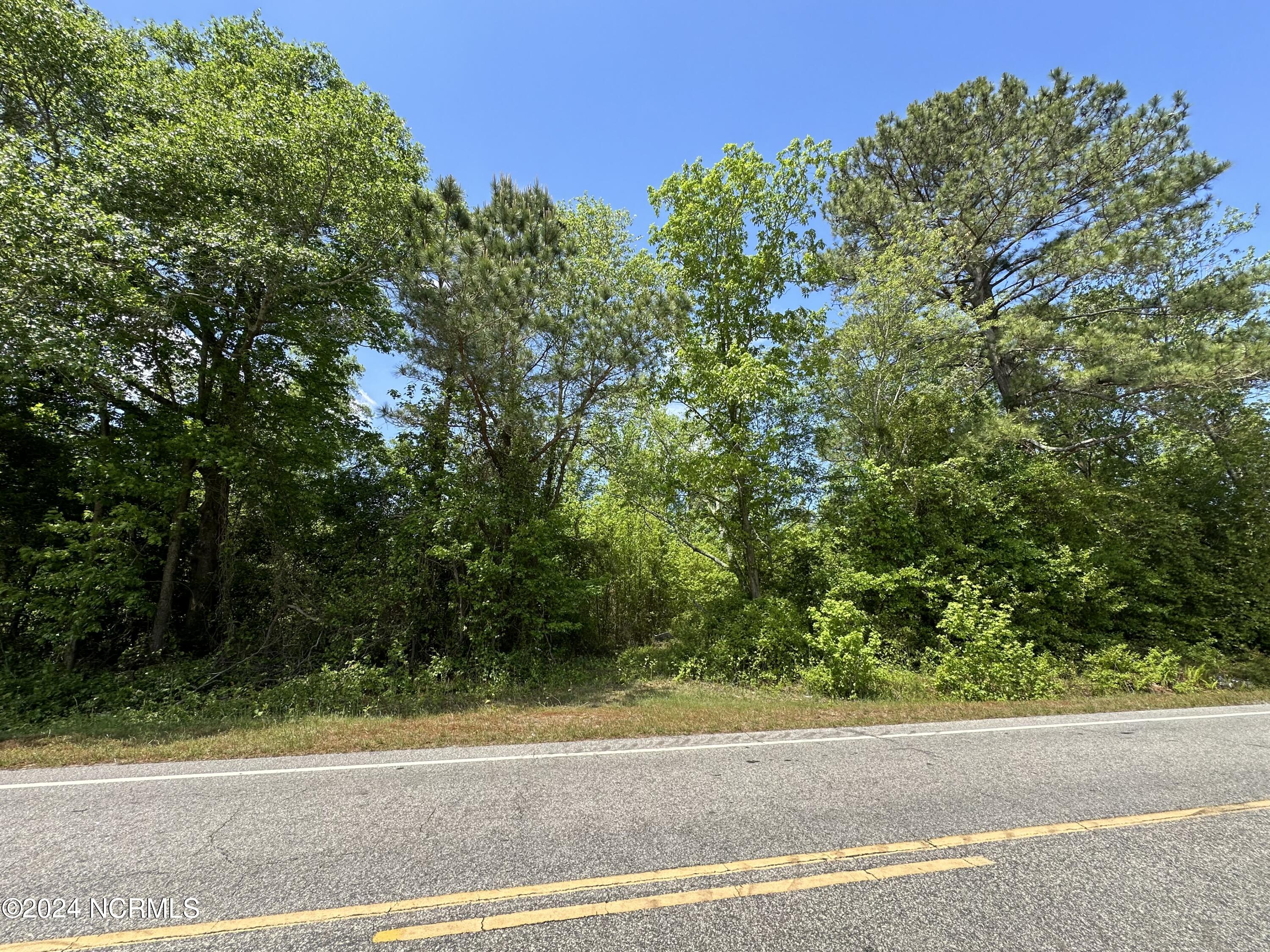 0 Needmore Road Turkey, NC 28393 - Photo 5 of 9 Needmore Rd. frontage view.