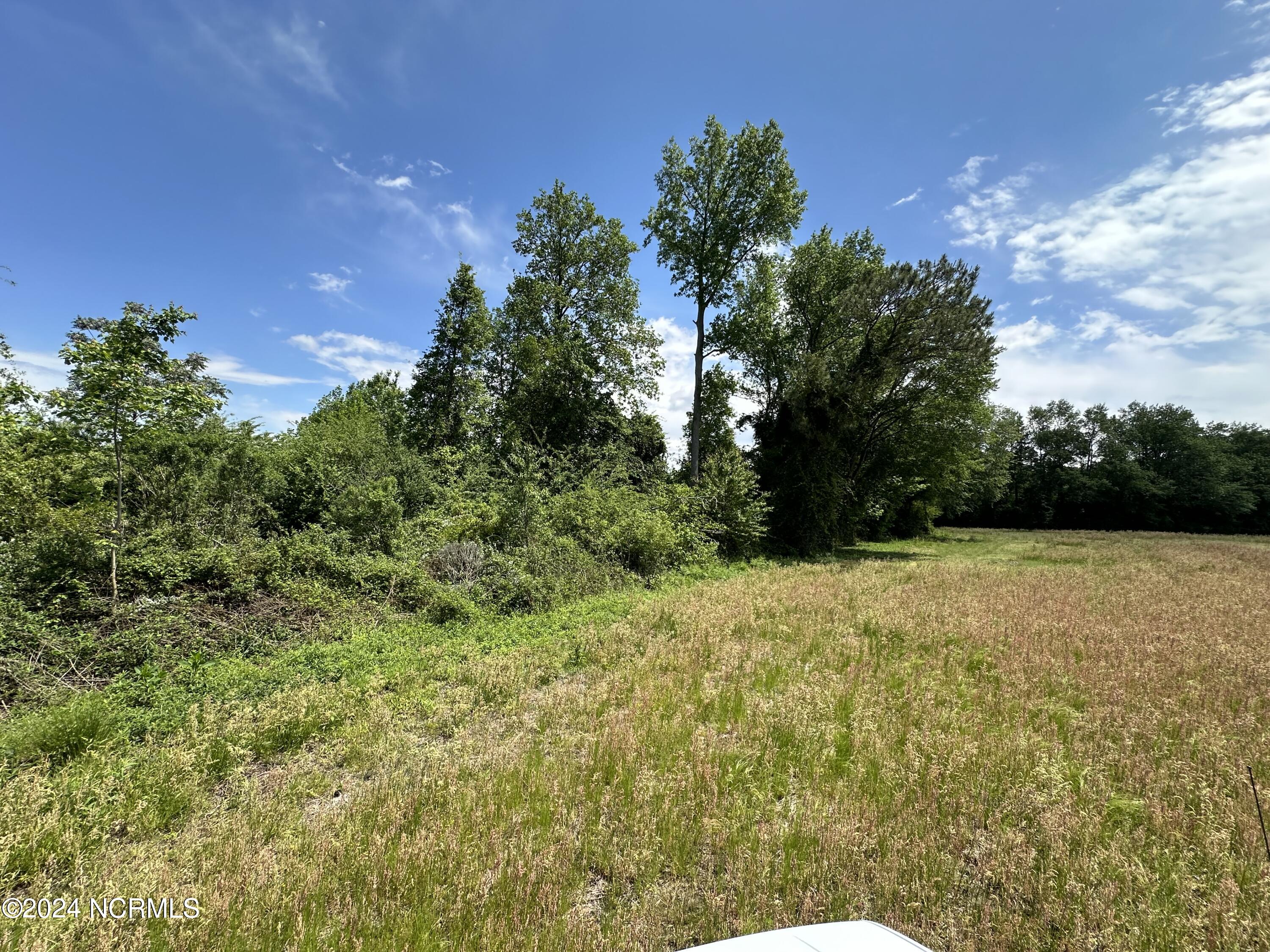0 Needmore Road Turkey, NC 28393 - Photo 6 of 9 Field and cutover woods