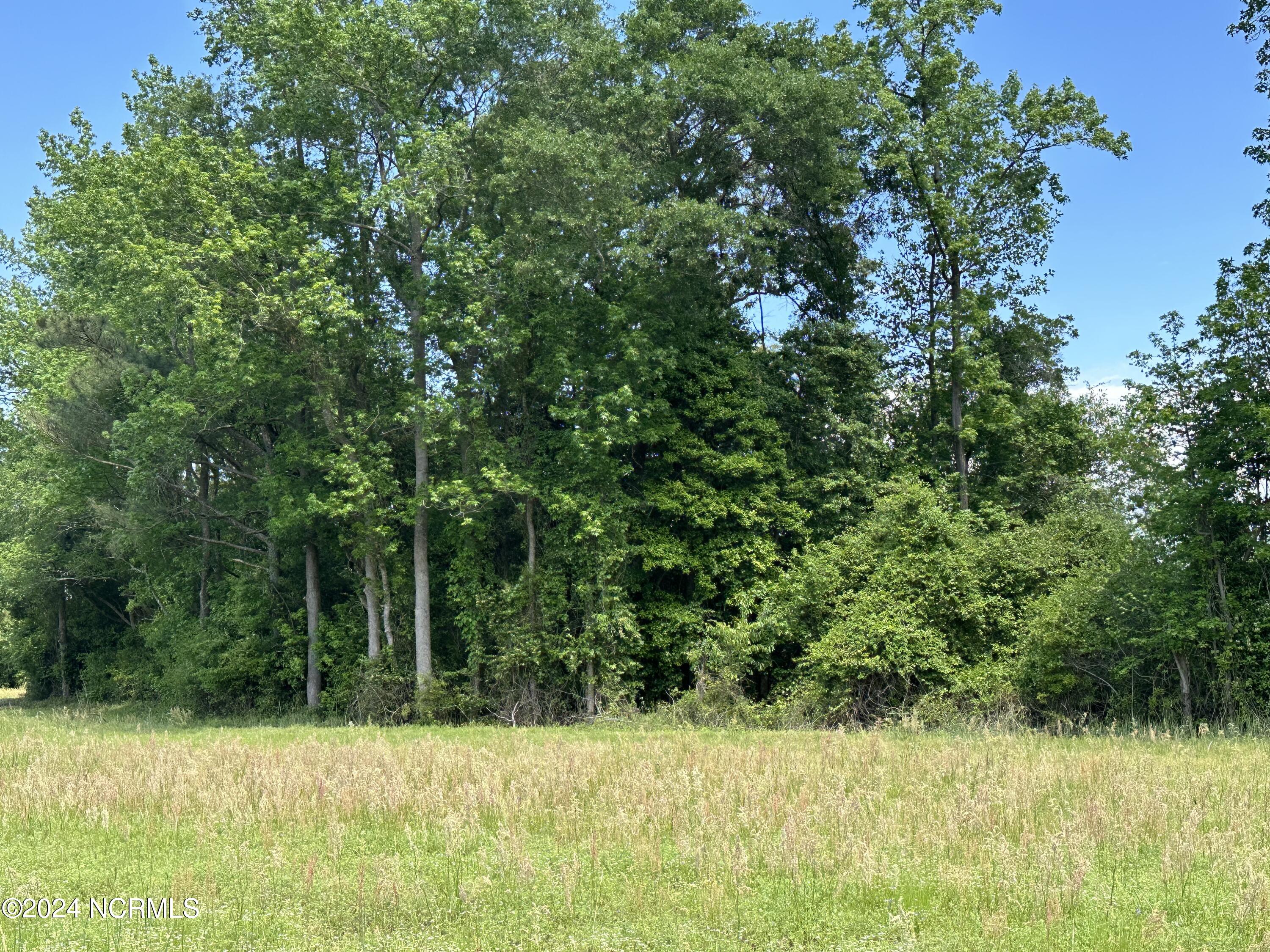 0 Needmore Road Turkey, NC 28393 - Photo 8 of 9 Patch of mature trees behind field.