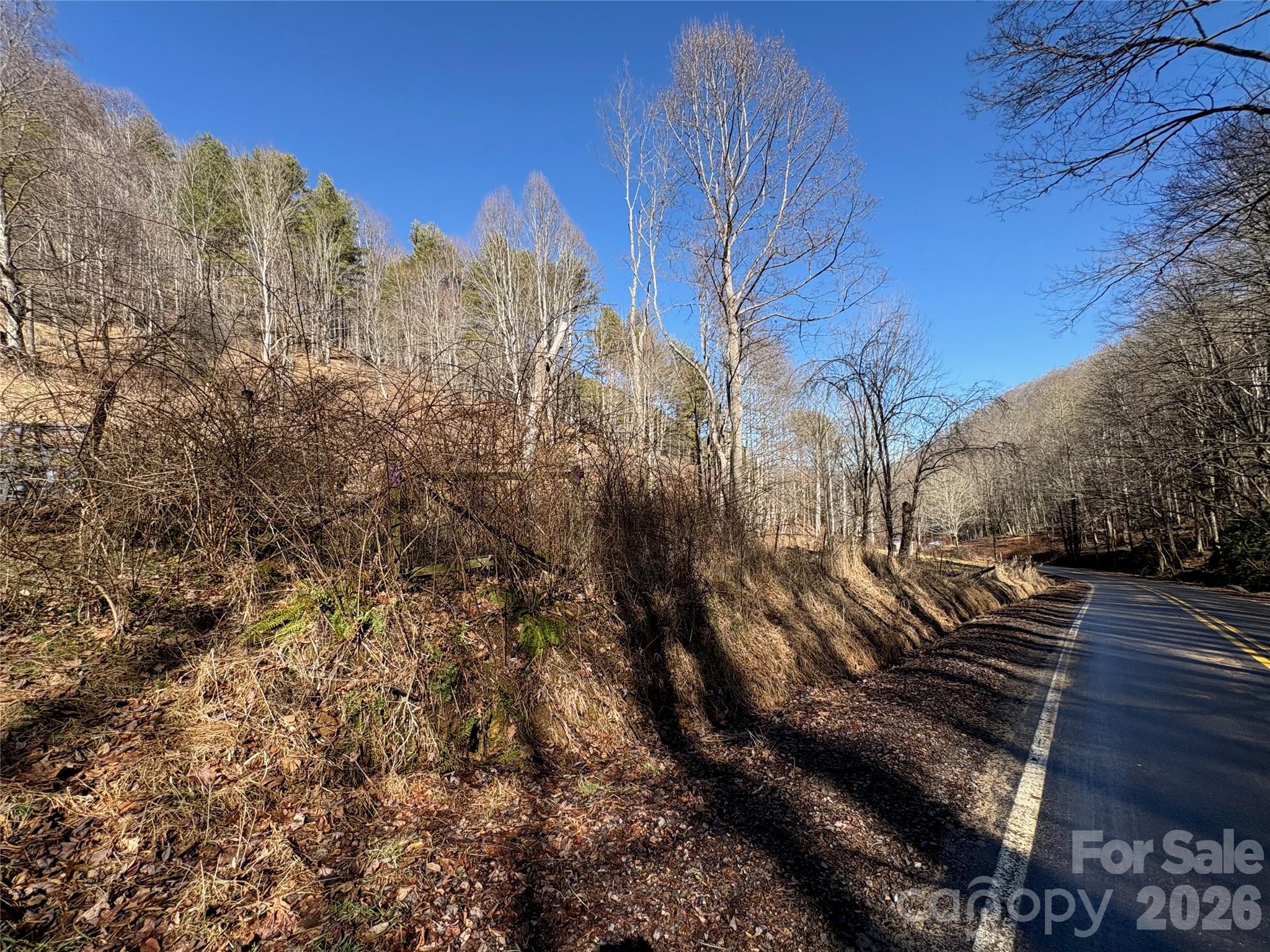 9999 Bee Log Road Burnsville, NC 28714 - Photo 12 of 16 a view of a yard of the house