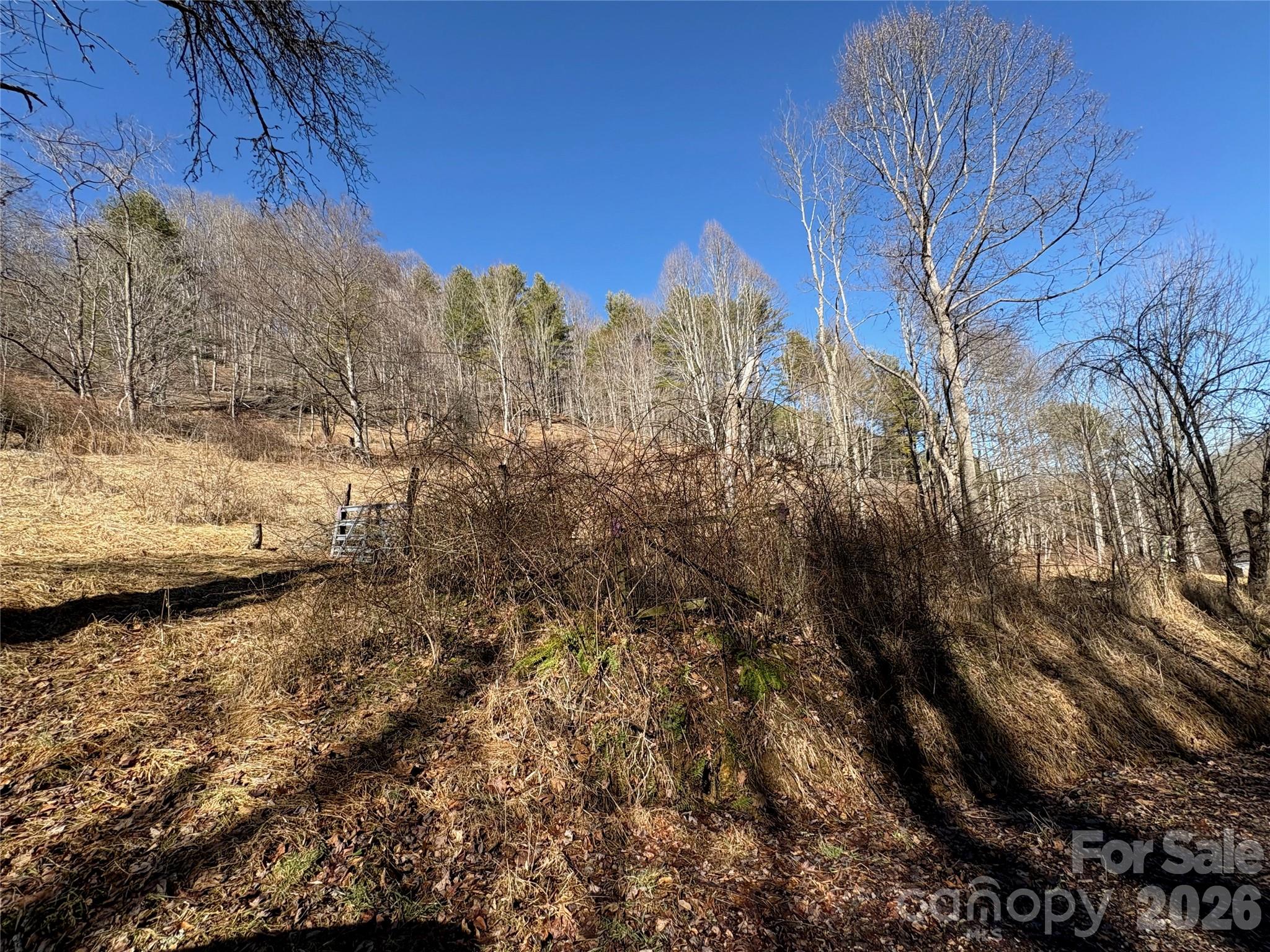 9999 Bee Log Road Burnsville, NC 28714 - Photo 13 of 16