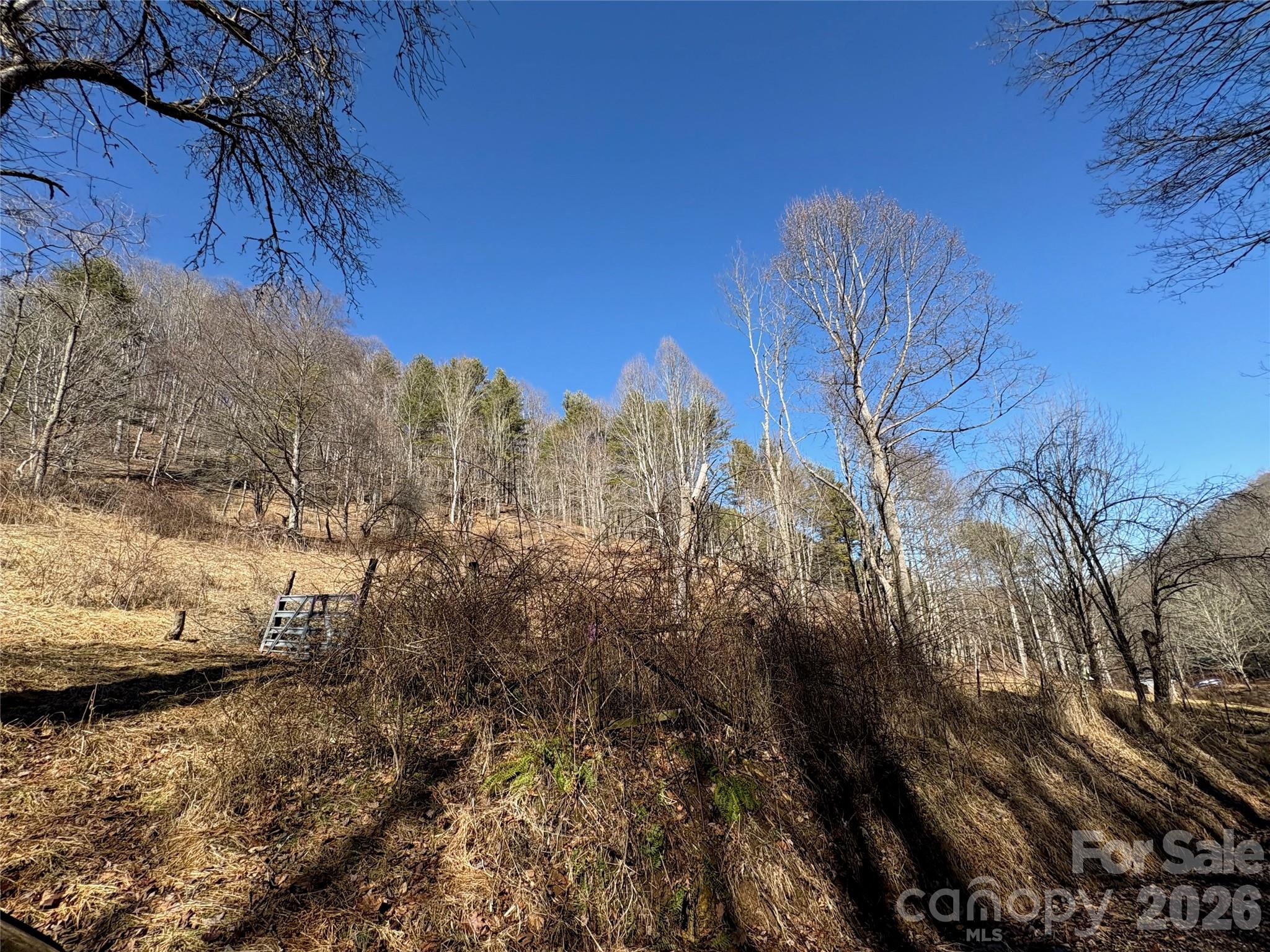9999 Bee Log Road Burnsville, NC 28714 - Photo 14 of 16 a view of a yard of a house