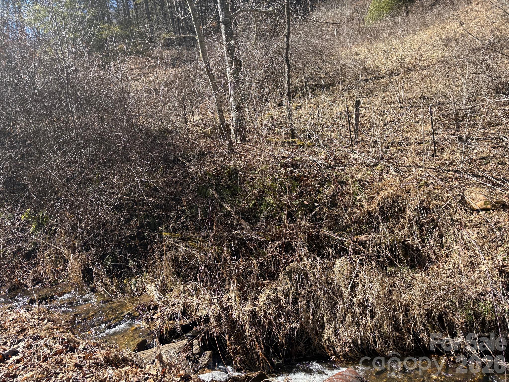 9999 Bee Log Road Burnsville, NC 28714 - Photo 16 of 16 a view of a dry yard
