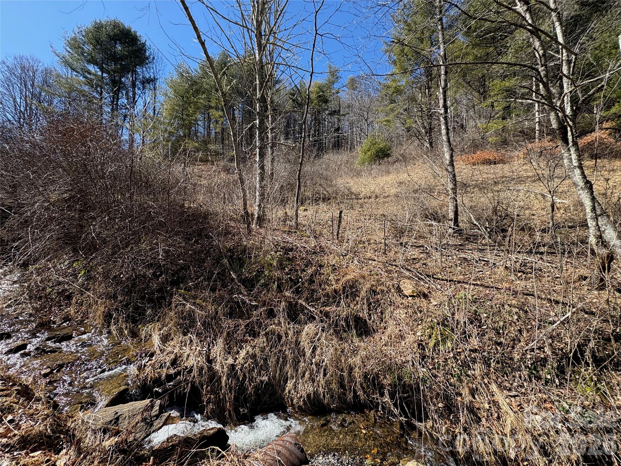 9999 Bee Log Road Burnsville, NC 28714 - Photo 3 of 16 a view of a yard