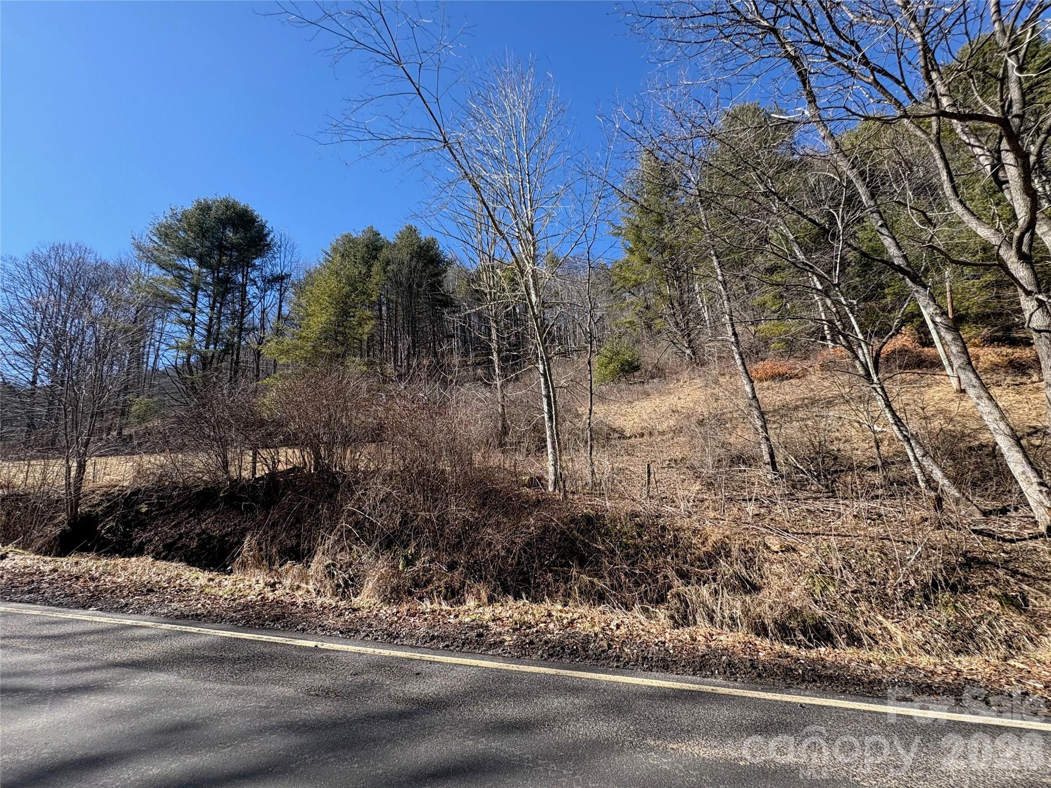 9999 Bee Log Road Burnsville, NC 28714 - Photo 4 of 16 a view of a backyard of the house