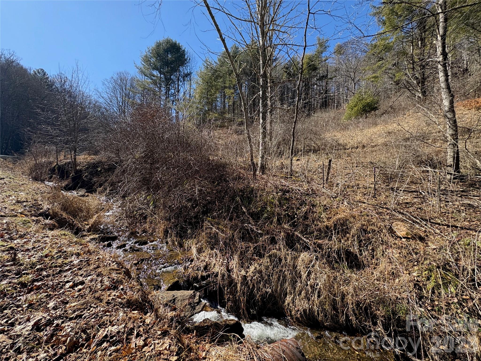 9999 Bee Log Road Burnsville, NC 28714 - Photo 5 of 16 a view of a bunch of trees