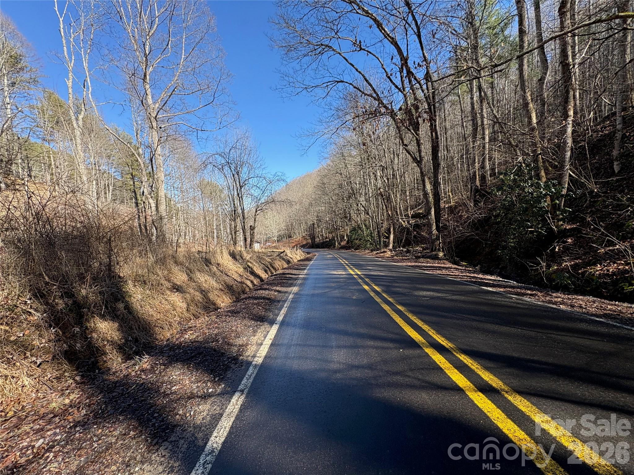 9999 Bee Log Road Burnsville, NC 28714 - Photo 9 of 16 a view of street along with trees