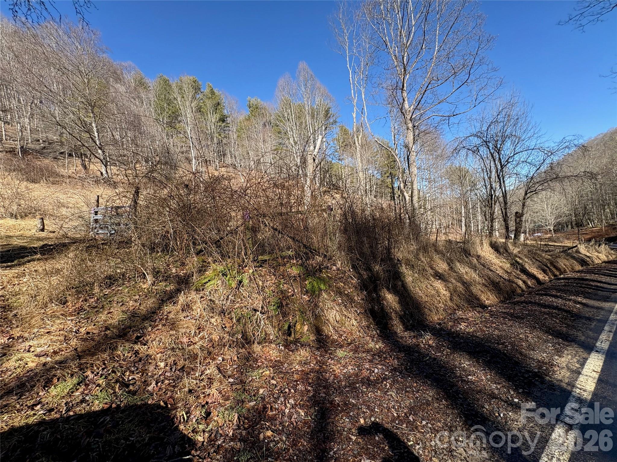 9999 Bee Log Road Burnsville, NC 28714 - Photo 10 of 16 a view of a backyard of the house