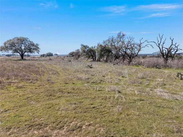 a view of a dry yard with wooden fence