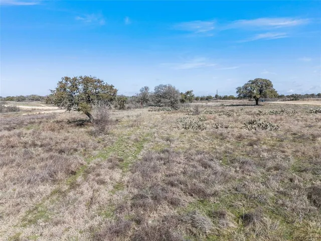 a view of a dry yard with wooden fence