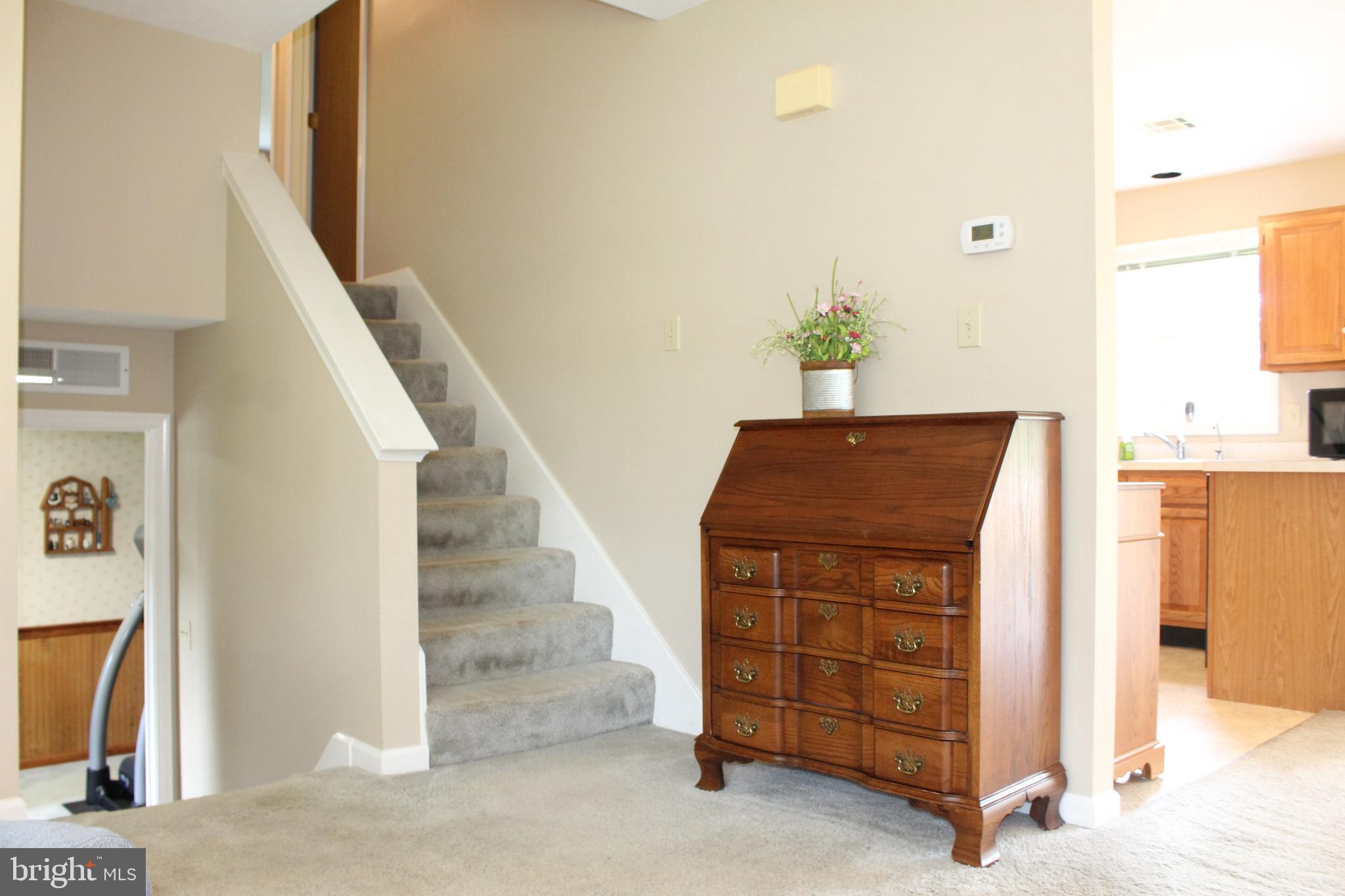 Living Room Area