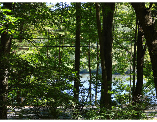 12 River Road Merrimac, MA 01860 - Photo 16 of 28 a view of outdoor space and lots of trees