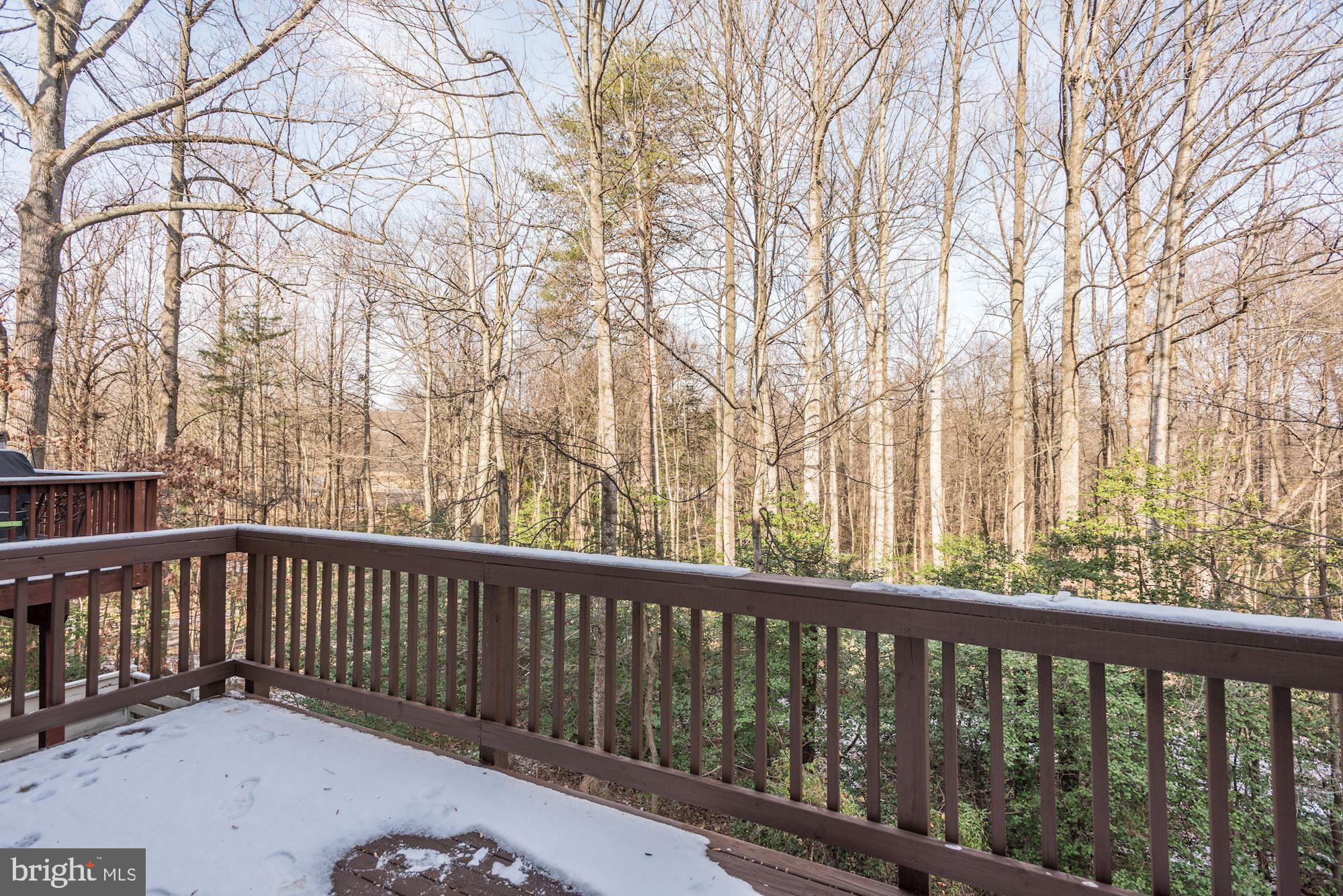 11432 Summer House Court Reston, VA 20194 - Photo 19 of 50