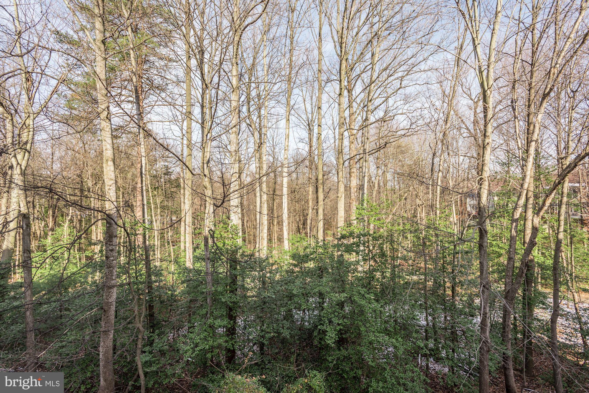 11432 Summer House Court Reston, VA 20194 - Photo 20 of 50