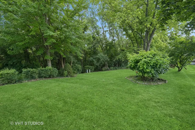 a view of a lush green space
