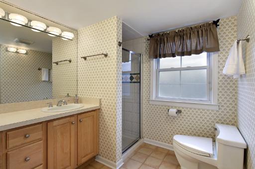 1010 Raleigh Road Glenview, IL 60025 - Photo 15 of 16 a bathroom with a sink a toilet and shower