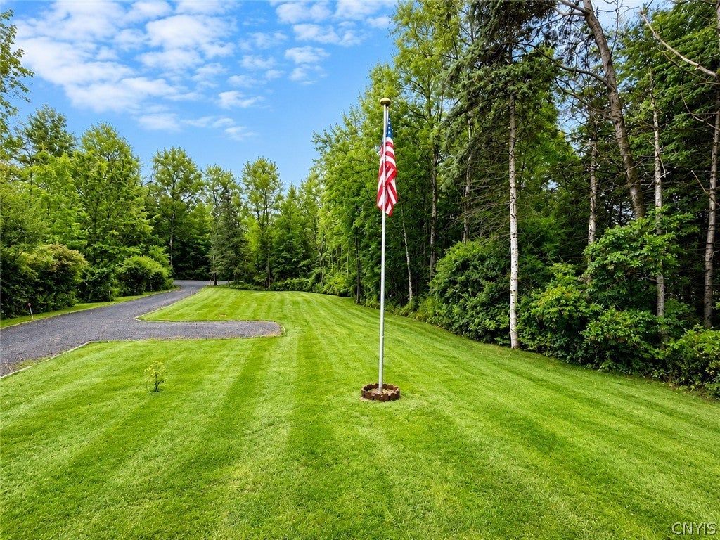 5491 Carr Road Willet, NY 13863 - Photo 18 of 18 Gallery Image 18