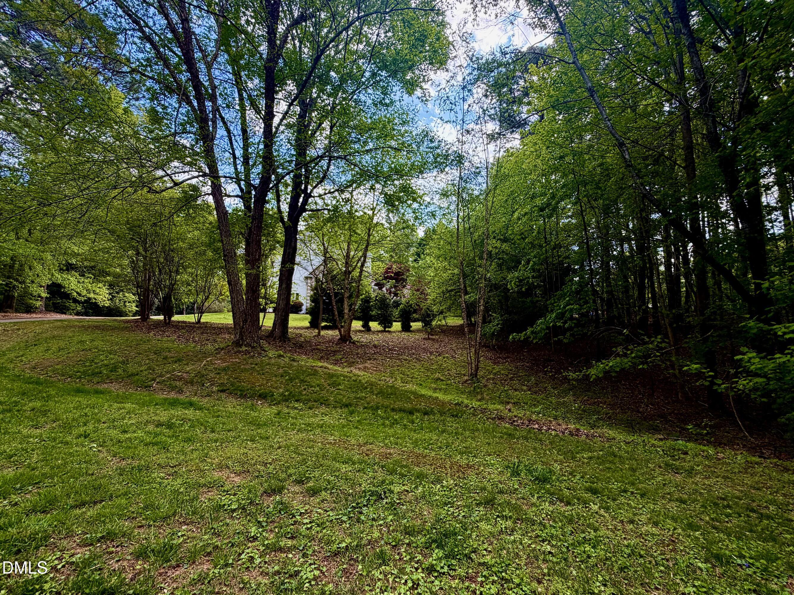 2905 Hunters Bluff Drive Raleigh, NC 27606 - Photo 75 of 79 IMG_3335