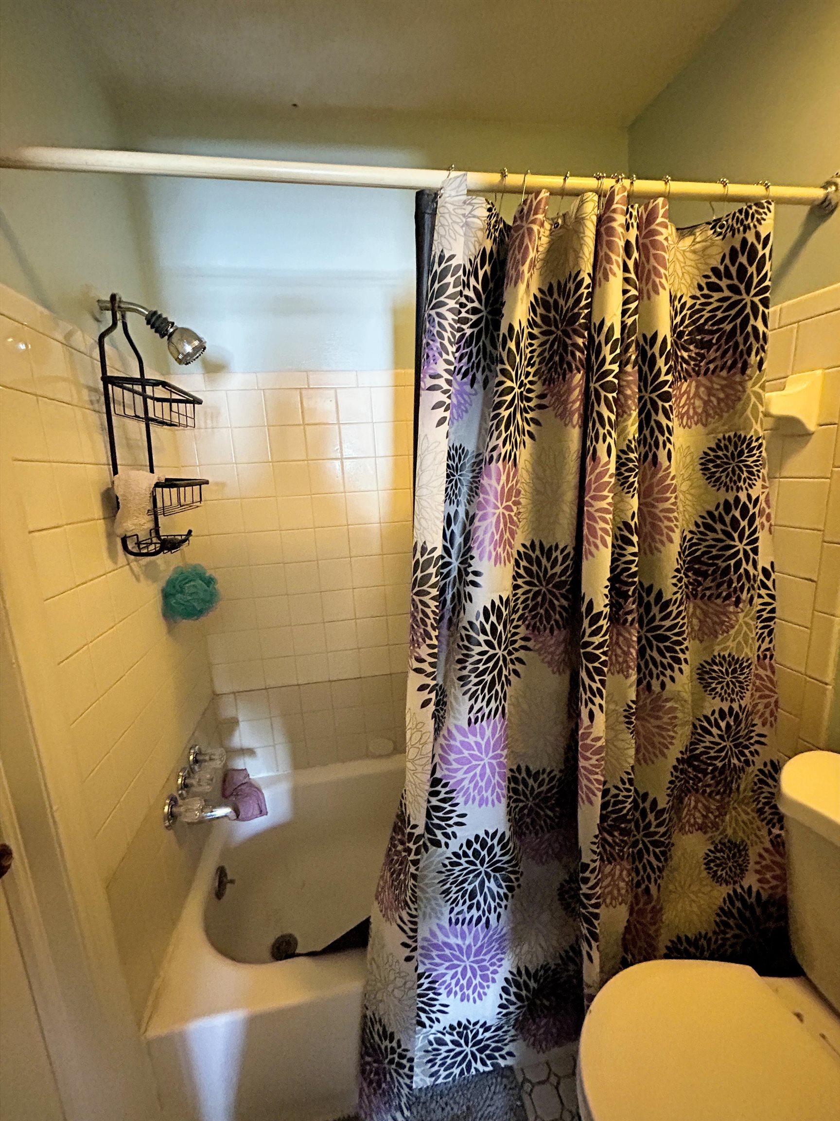 3748 Station Way Memphis, TN 38115 - Photo 11 of 11 Bathroom featuring toilet and shower / bathtub combination with curtain
