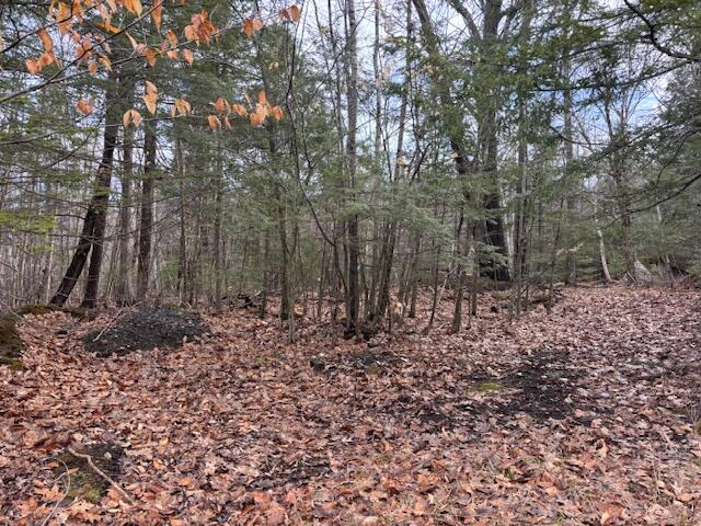 Lot 4 Desert Pond Rd Mount Mount Vernon, ME 04352 - Photo 1 of 5 IMG_6845