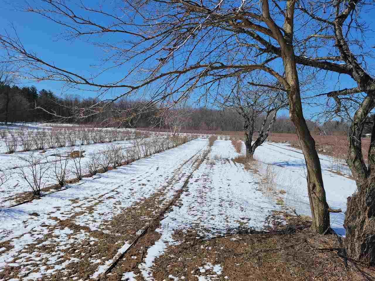 Lot B54 Co Road Covert, MI 49043 - Photo 21 of 28