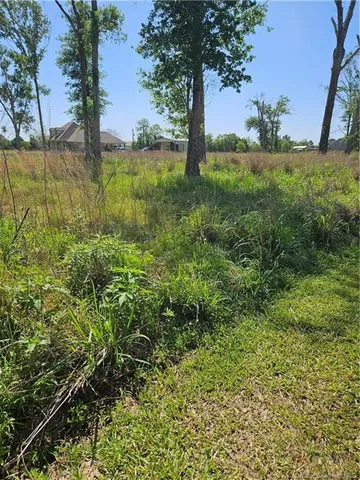 $38,000 | 0 Nielson Road, Kinder, LA 70648