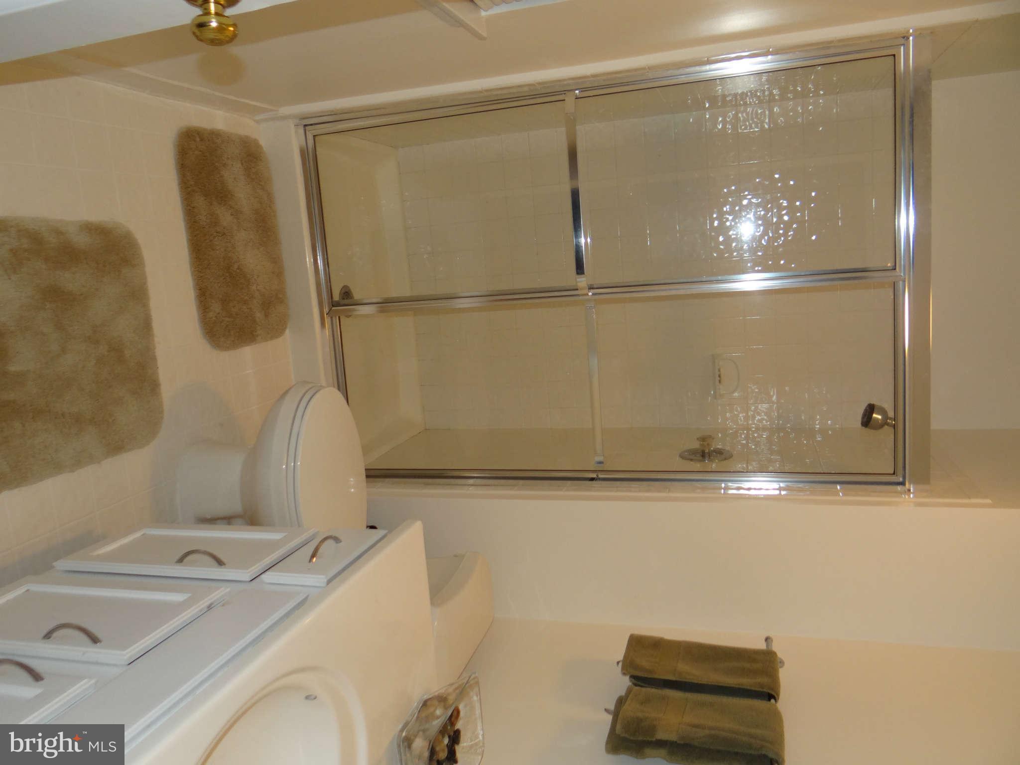 14925 Wellwood Road Silver Spring, MD 20905 - Photo 9 of 21 Bath (Master)