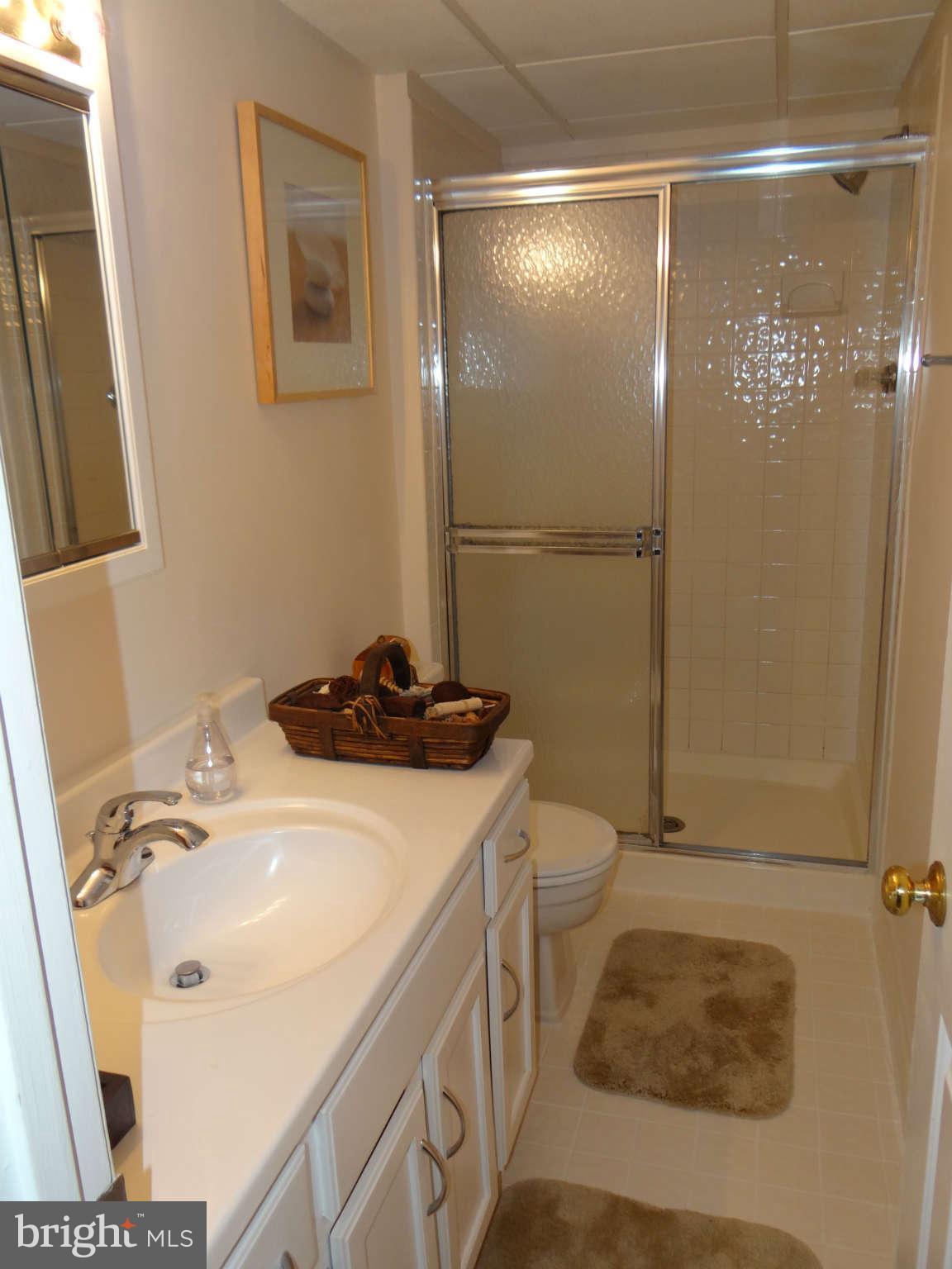 14925 Wellwood Road Silver Spring, MD 20905 - Photo 10 of 21 Bath