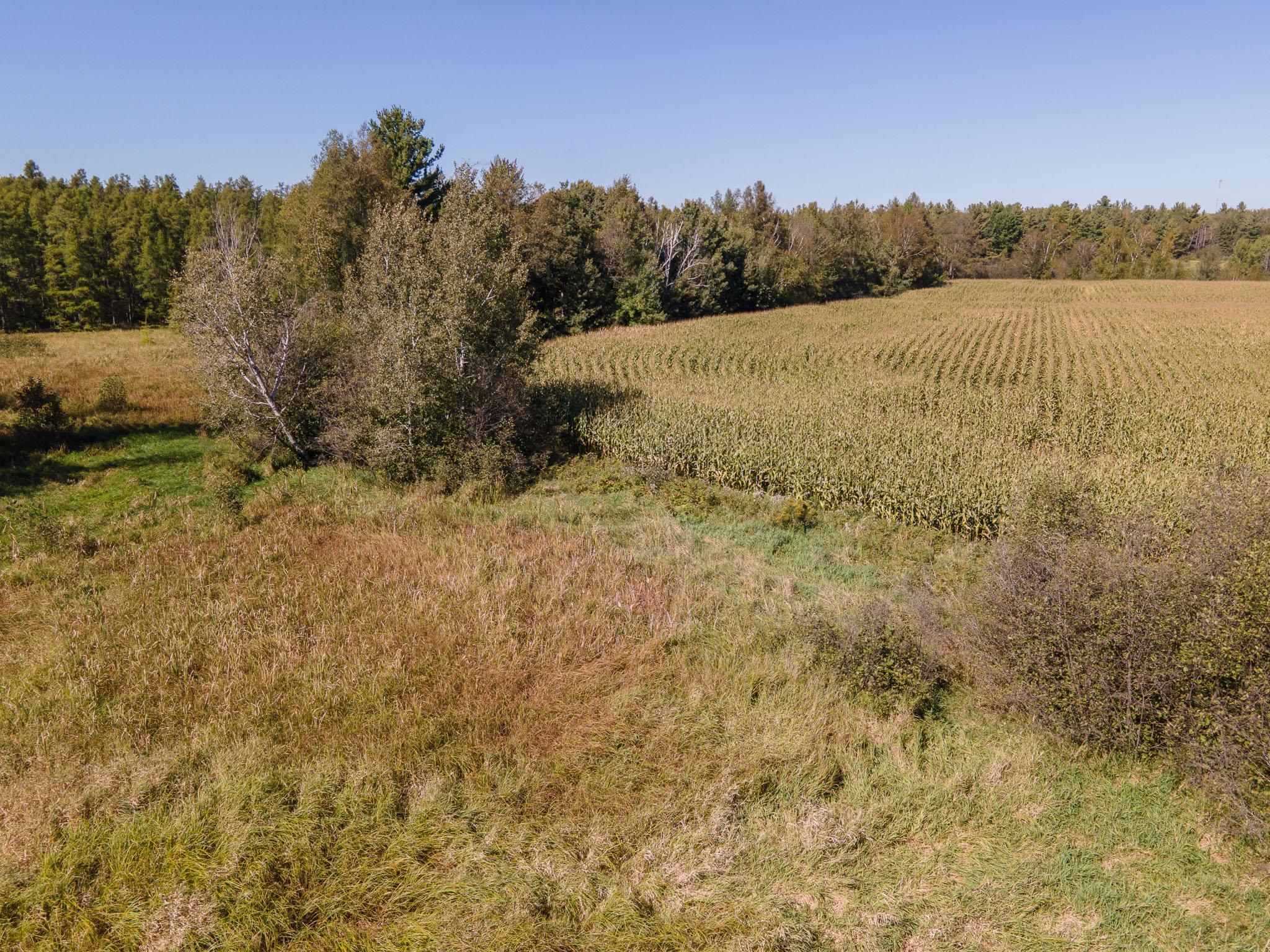 0 Hinckley Road Hinckley, MN 55037 - Photo 11 of 18