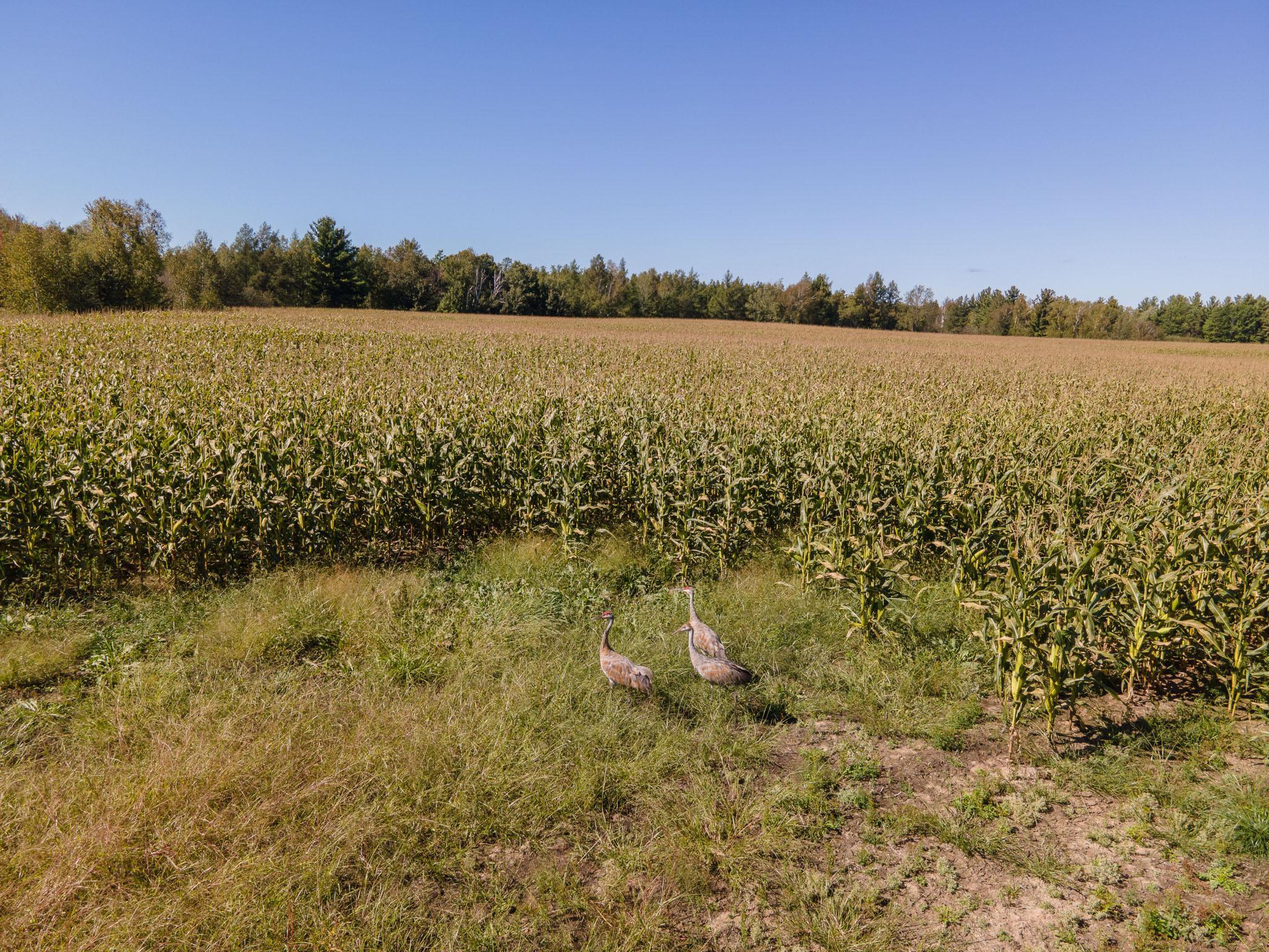 0 Hinckley Road Hinckley, MN 55037 - Photo 13 of 18